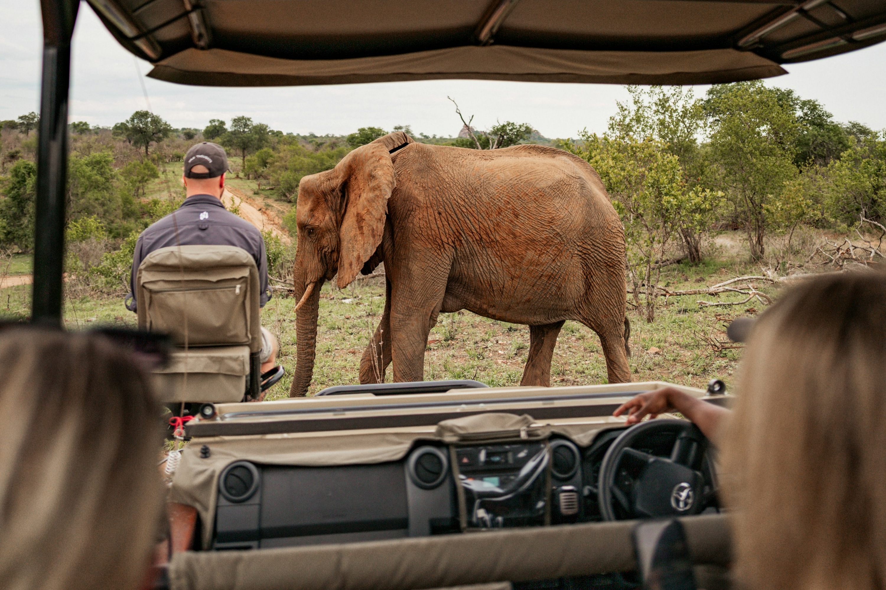 5 Days Tanzania Safari: Serengeti, Ngorongoro & Lake Manyara | Big Five Wildlife Experience