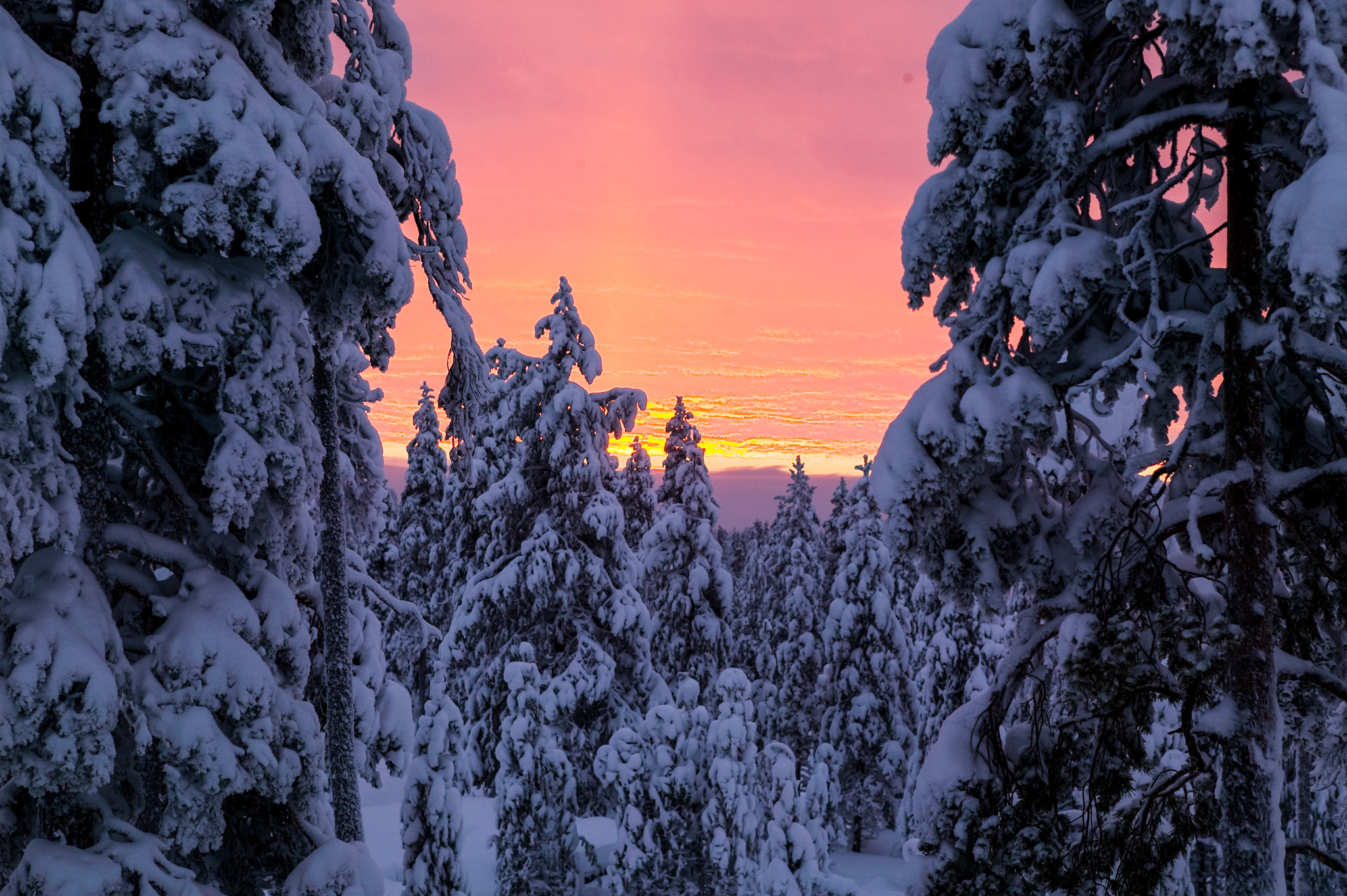 Celebración del Año Nuevo según las tradiciones finlandesas y la aurora boreal - Kemi - Foto 2