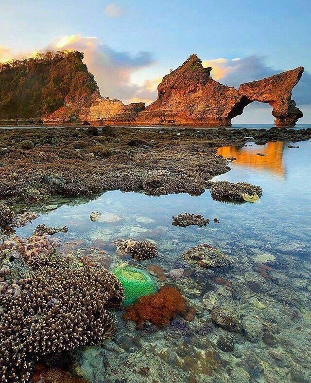 Descubra la belleza de la isla de Nusa Penida - Foto 3