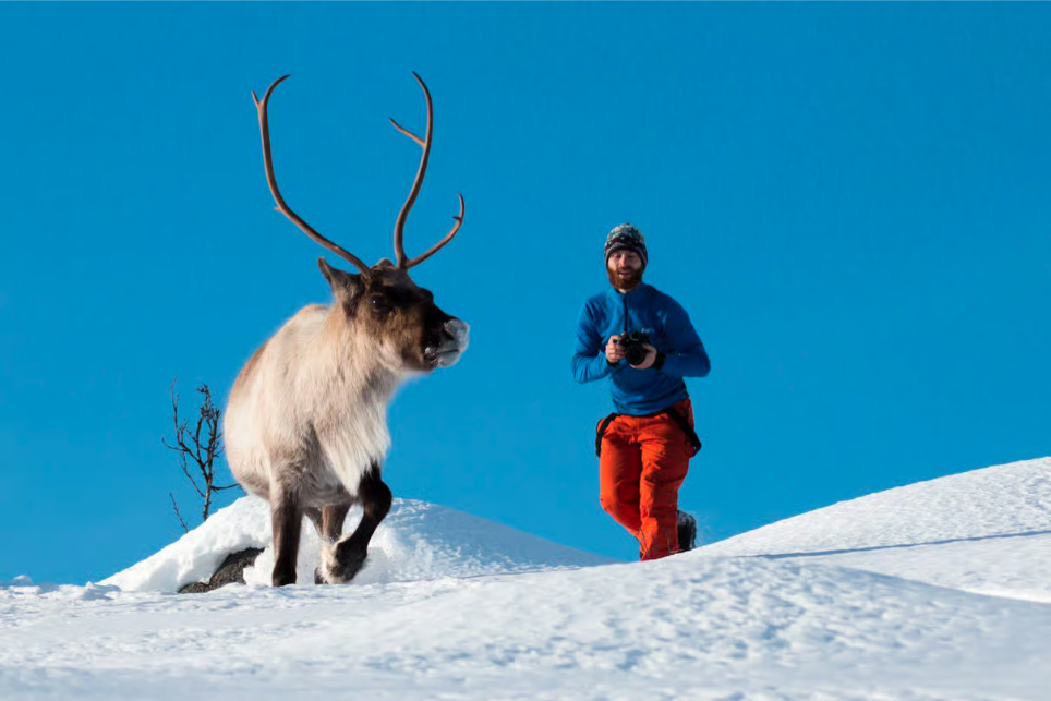 Tromsø: Sommarøy Trip with Scenic Lunch and Photo
