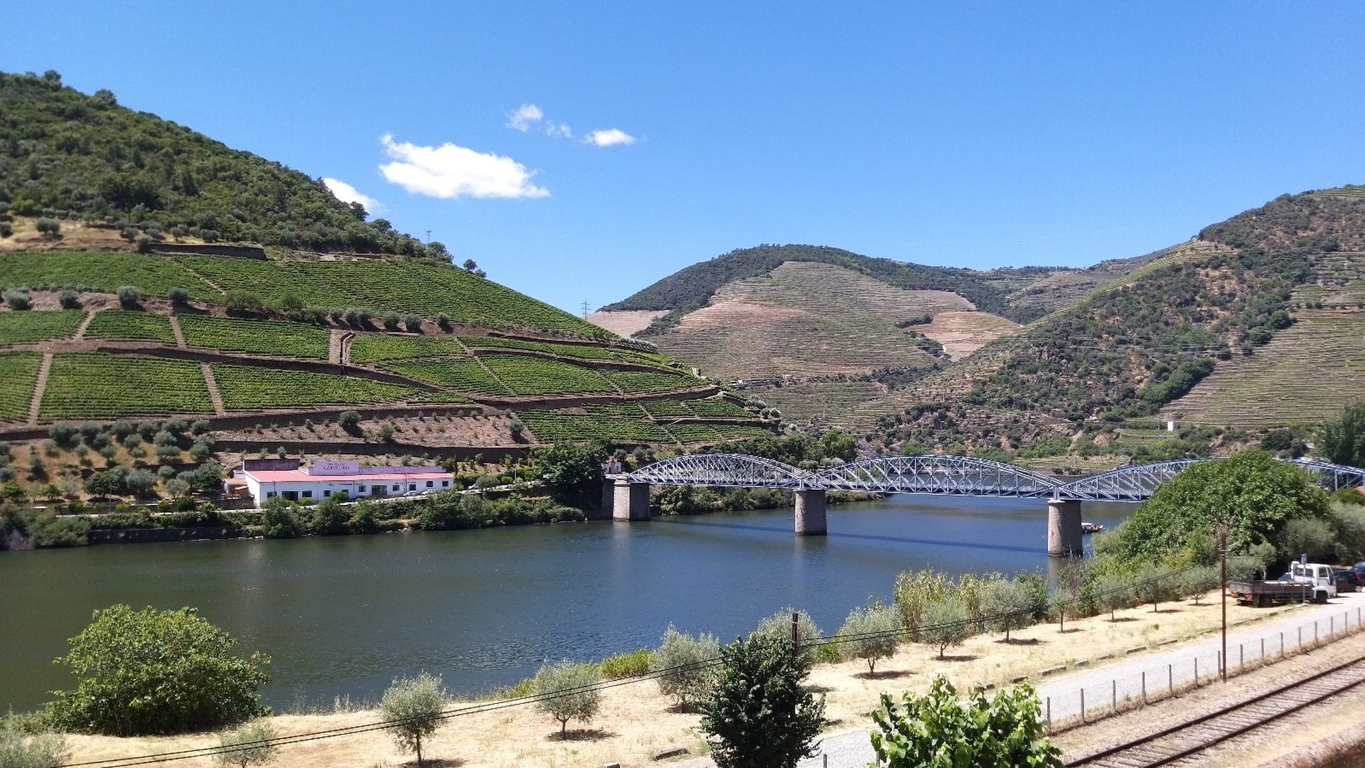 Private Douro Valley Tour: Provesende, Pinhão, Scenic Viewpoints and most renowned wineries - Photo 5