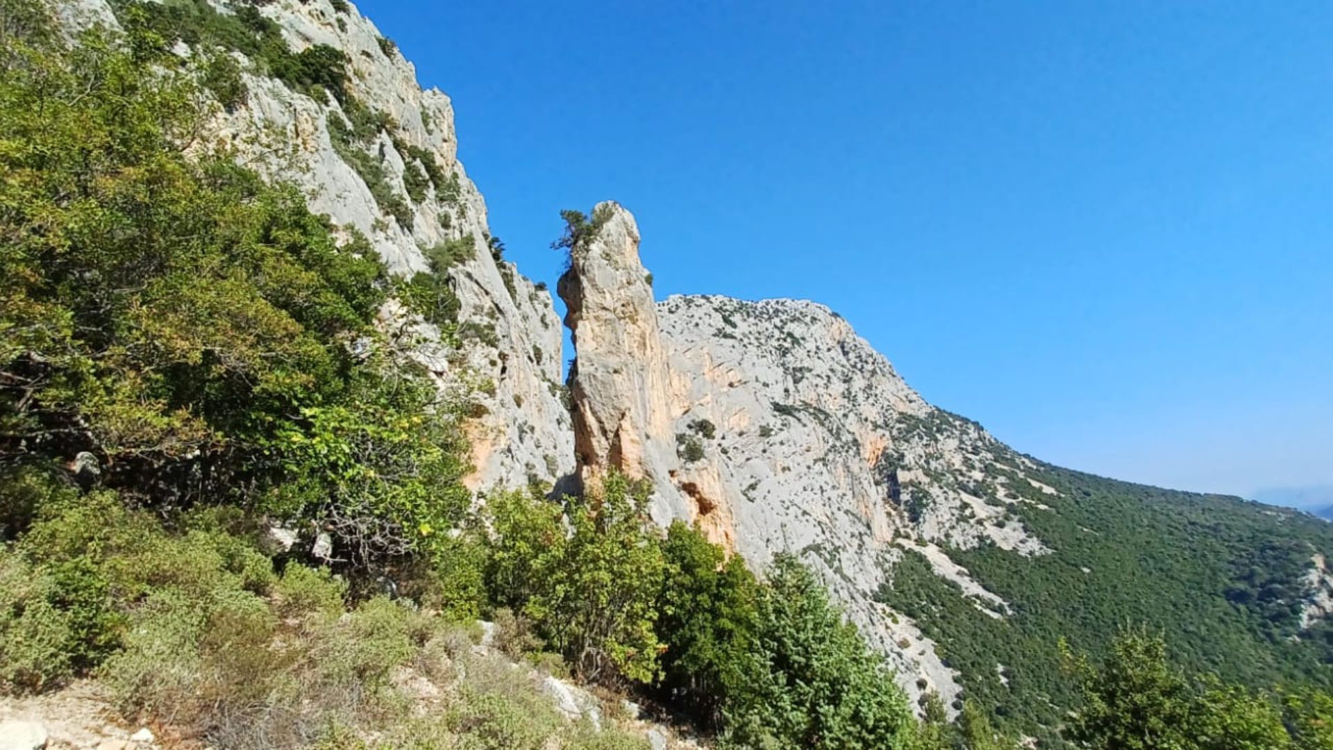 From Urzulei: trekking in the Gorropu canyon - Photo 6