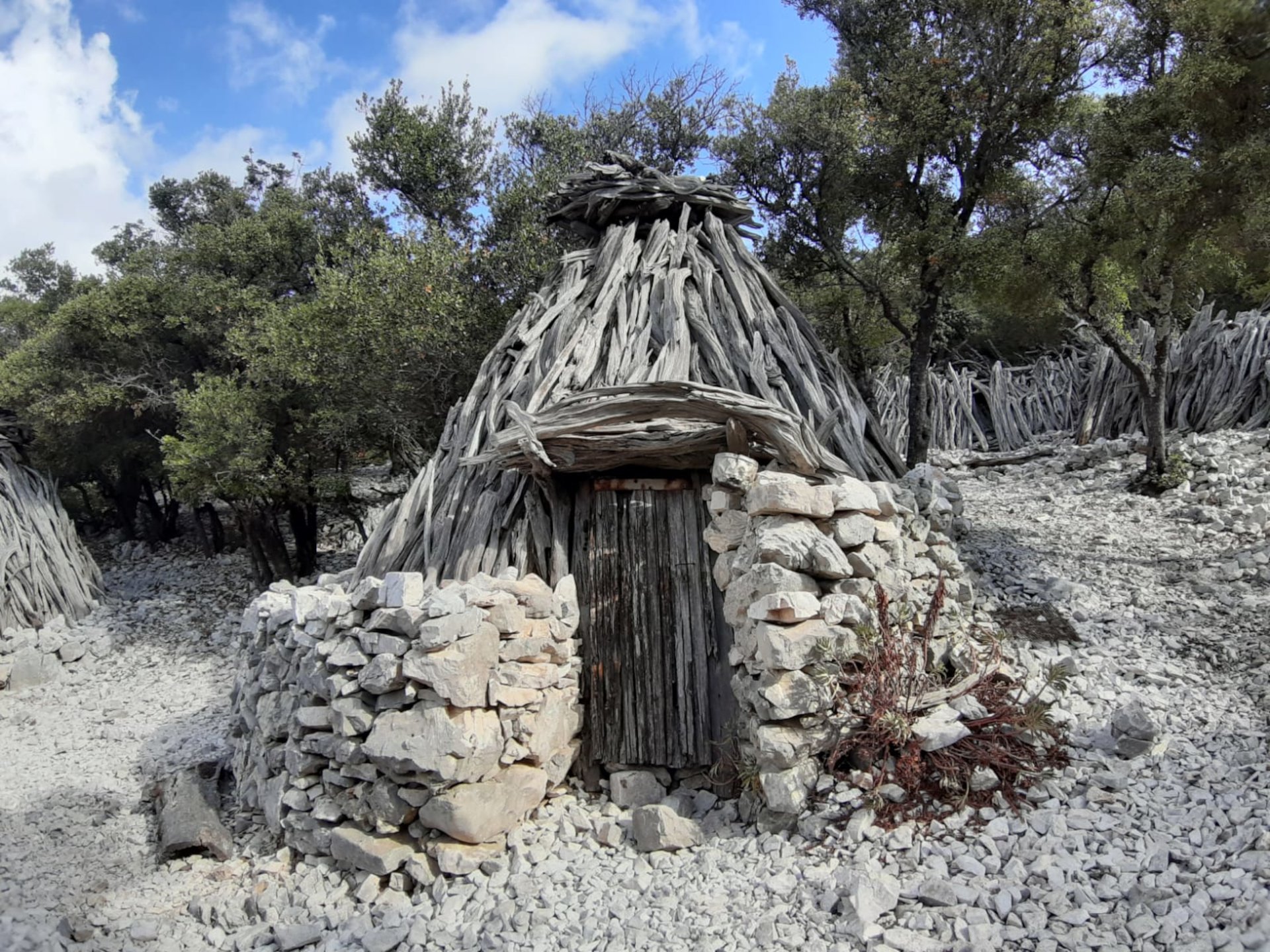 From Baunei: trekking to Cala Mariolu - Photo 4