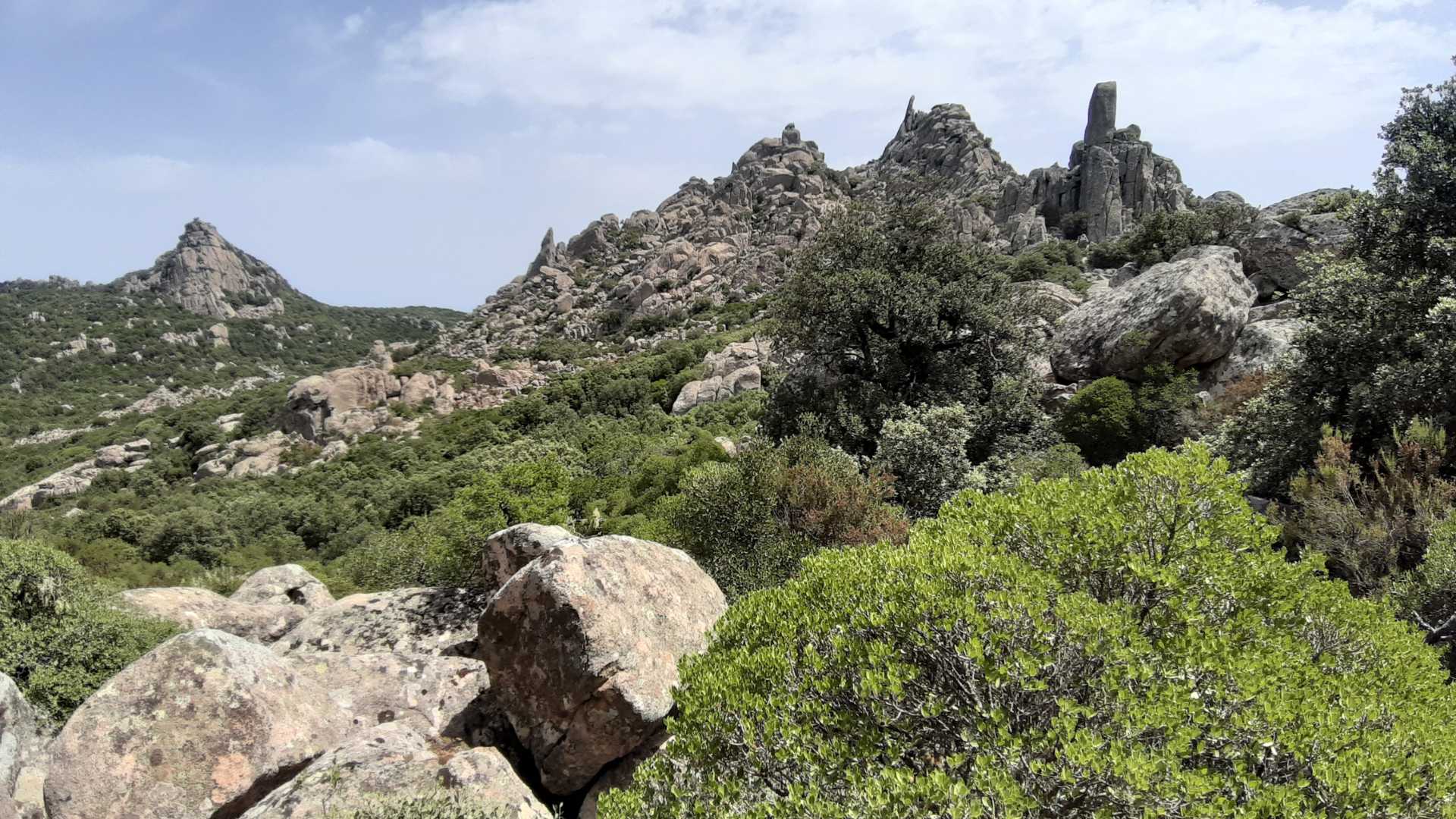 Cagliari: trekking in the Sette Fratelli Park - Photo 2