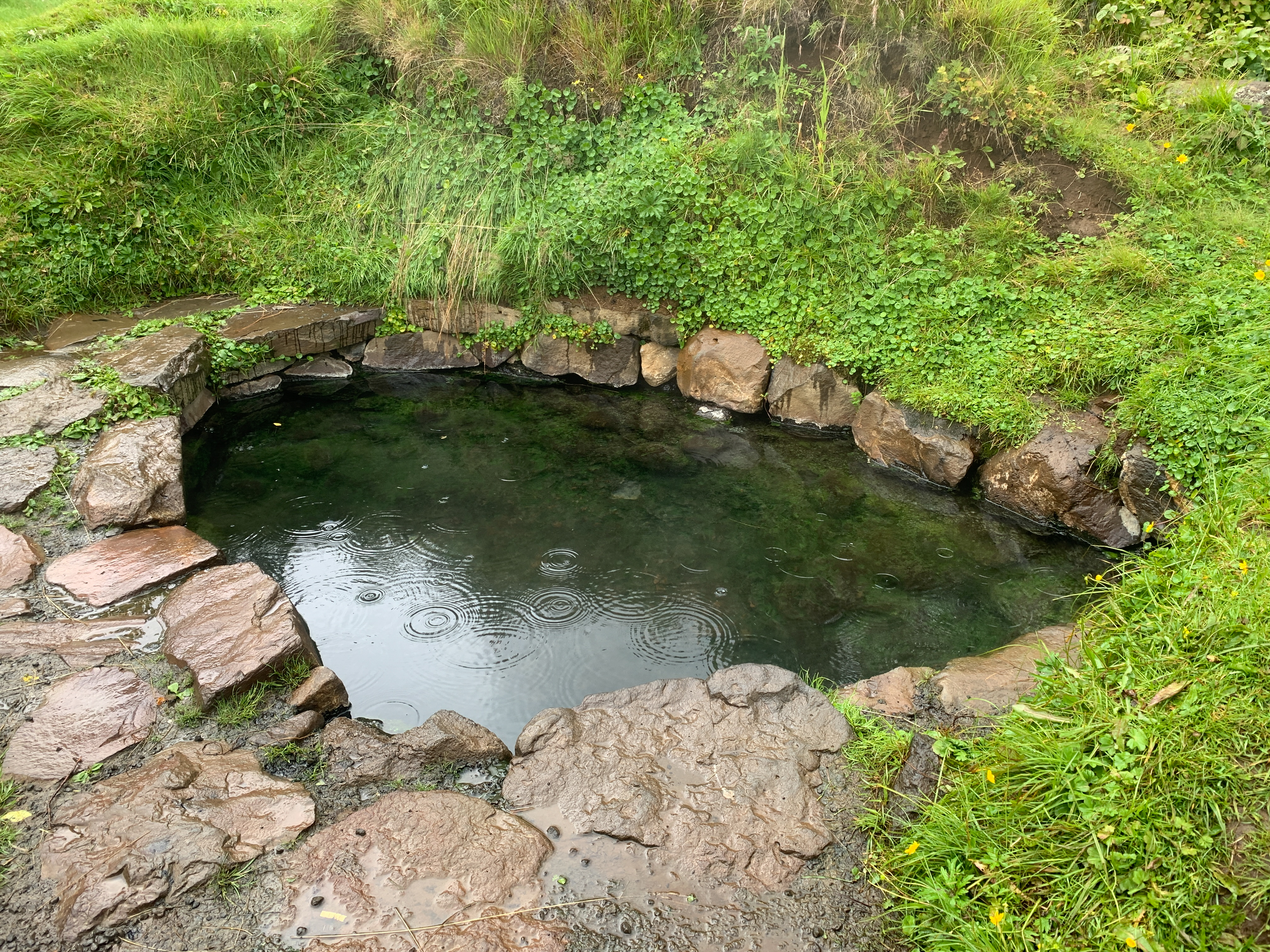 Private Super Jeep with driver guide, fits 4 passengers - photo 36