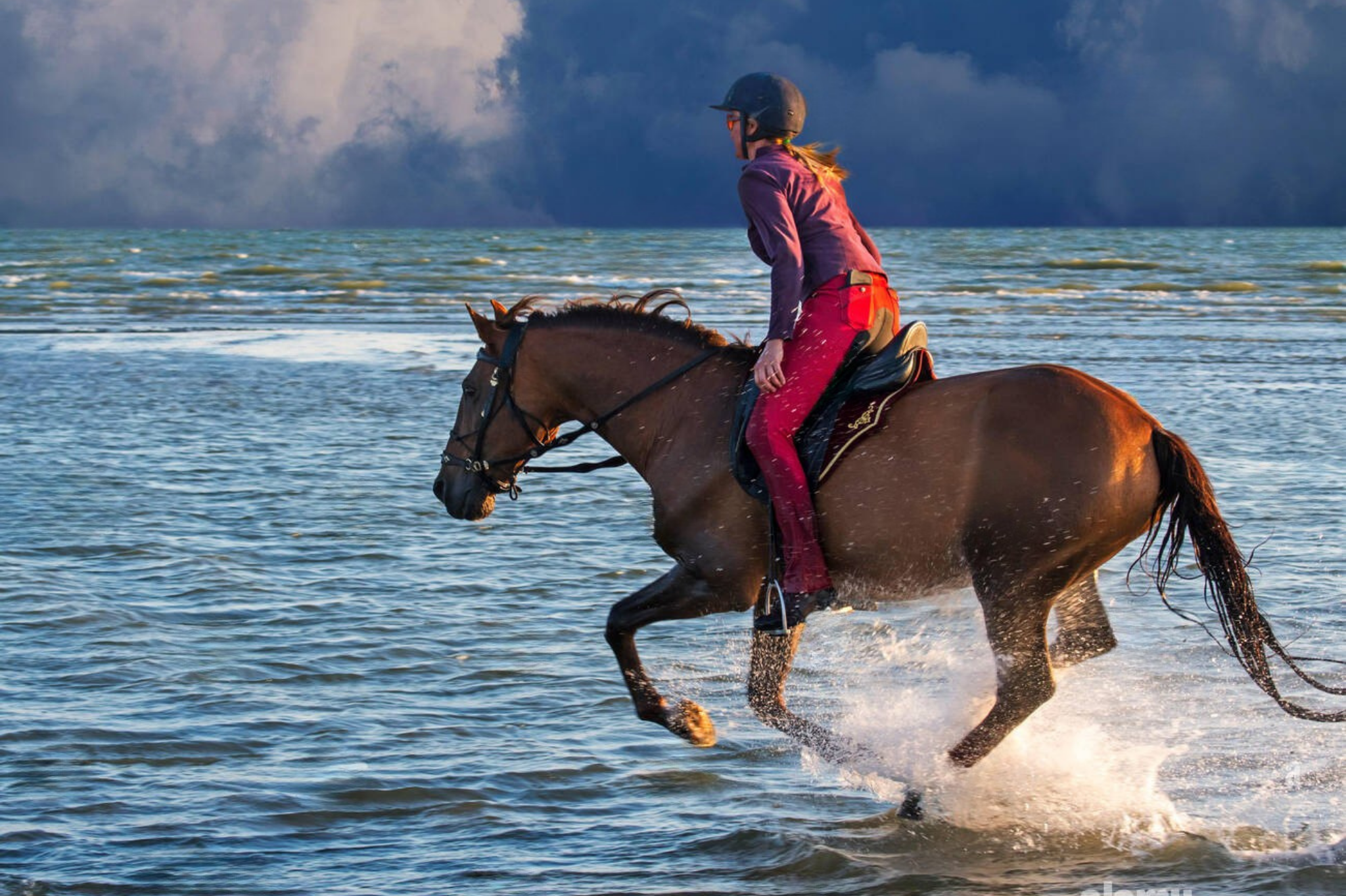 Paseos a caballo por la playa con traslados al hotel