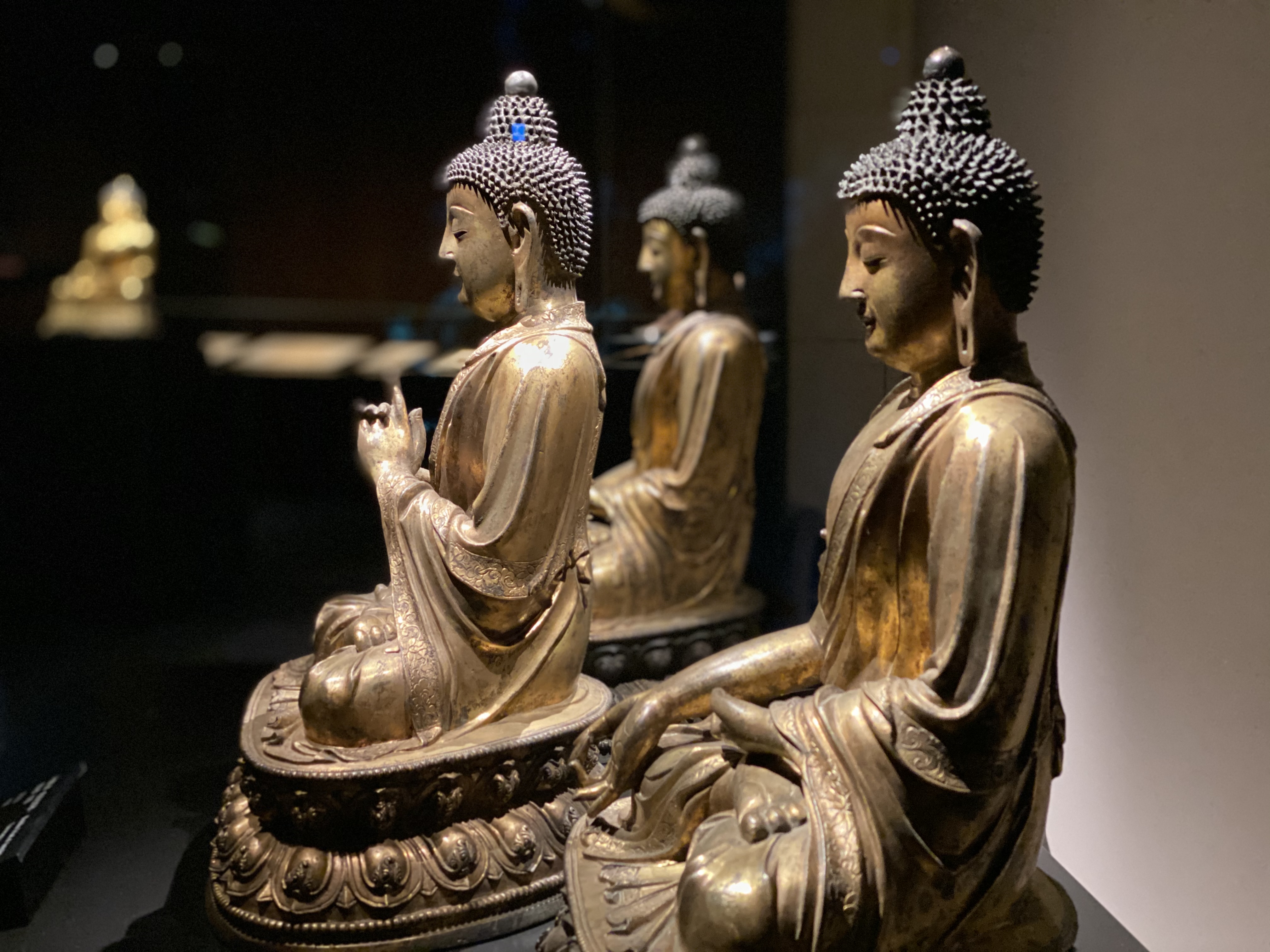 Guided Tour of the New Territories with Tsz Shan Monastery in Private Service - Accommodations in Hong Kong