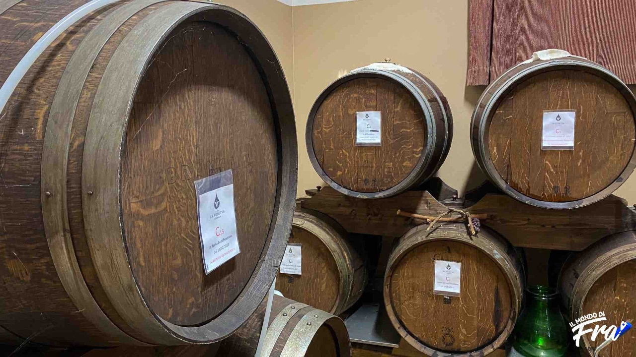 Modena: Visit Vinegar Cellar among the Hills + Cooking Class + Typical Dinner - Photo 6