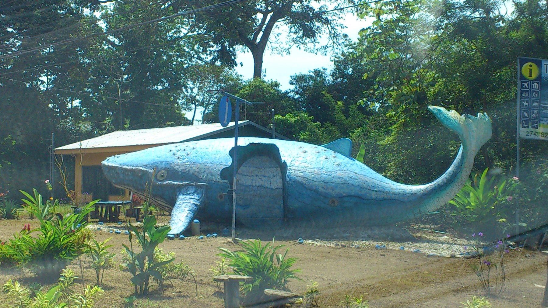 Private Transfer SJO Airport to/from Dominical Pacific Coast Hotels | GTC Own Fleet – photo 3