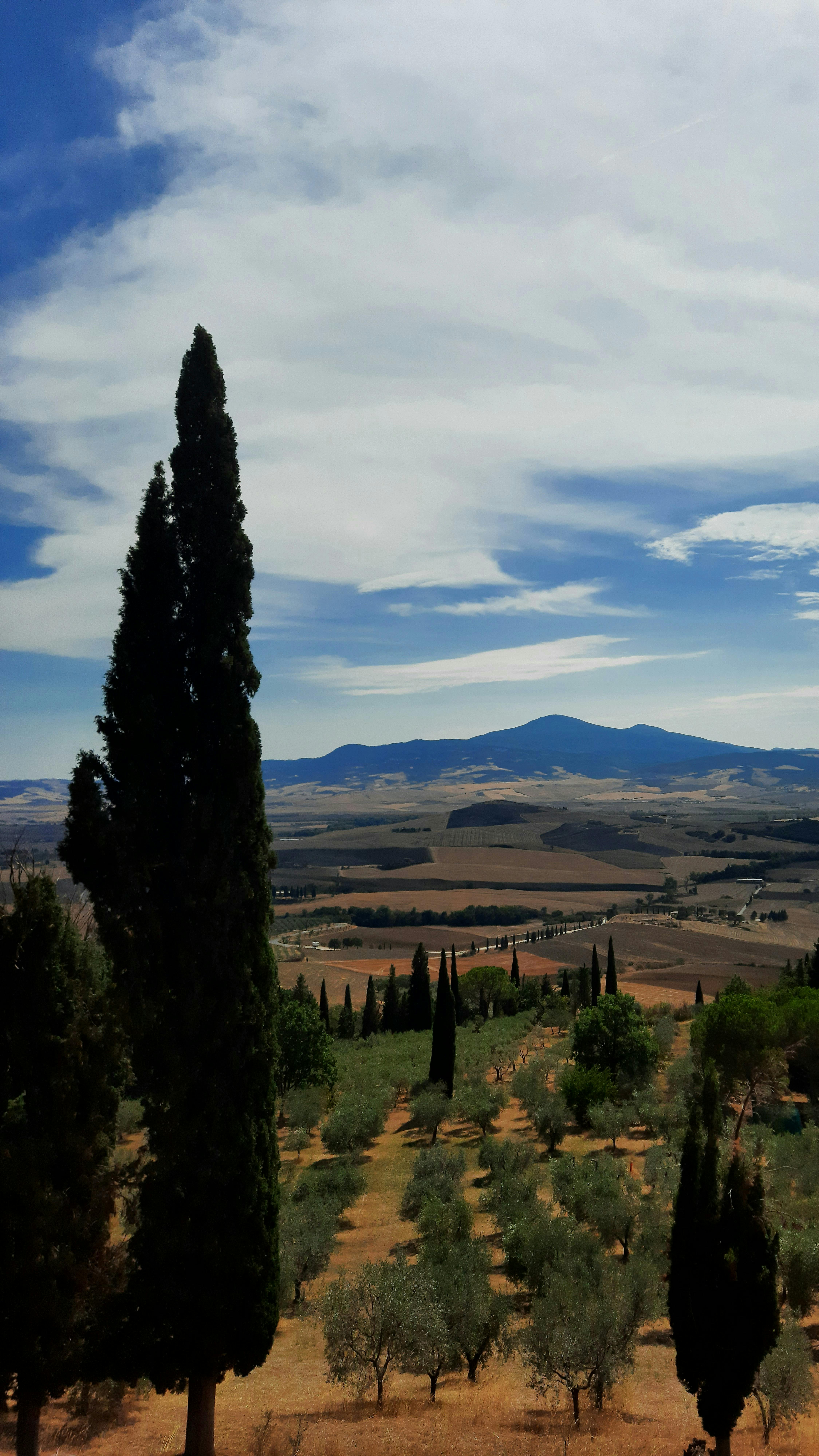 Montepulciano: Quad Tour Nobile Wine Road with light lunch - Photo 18