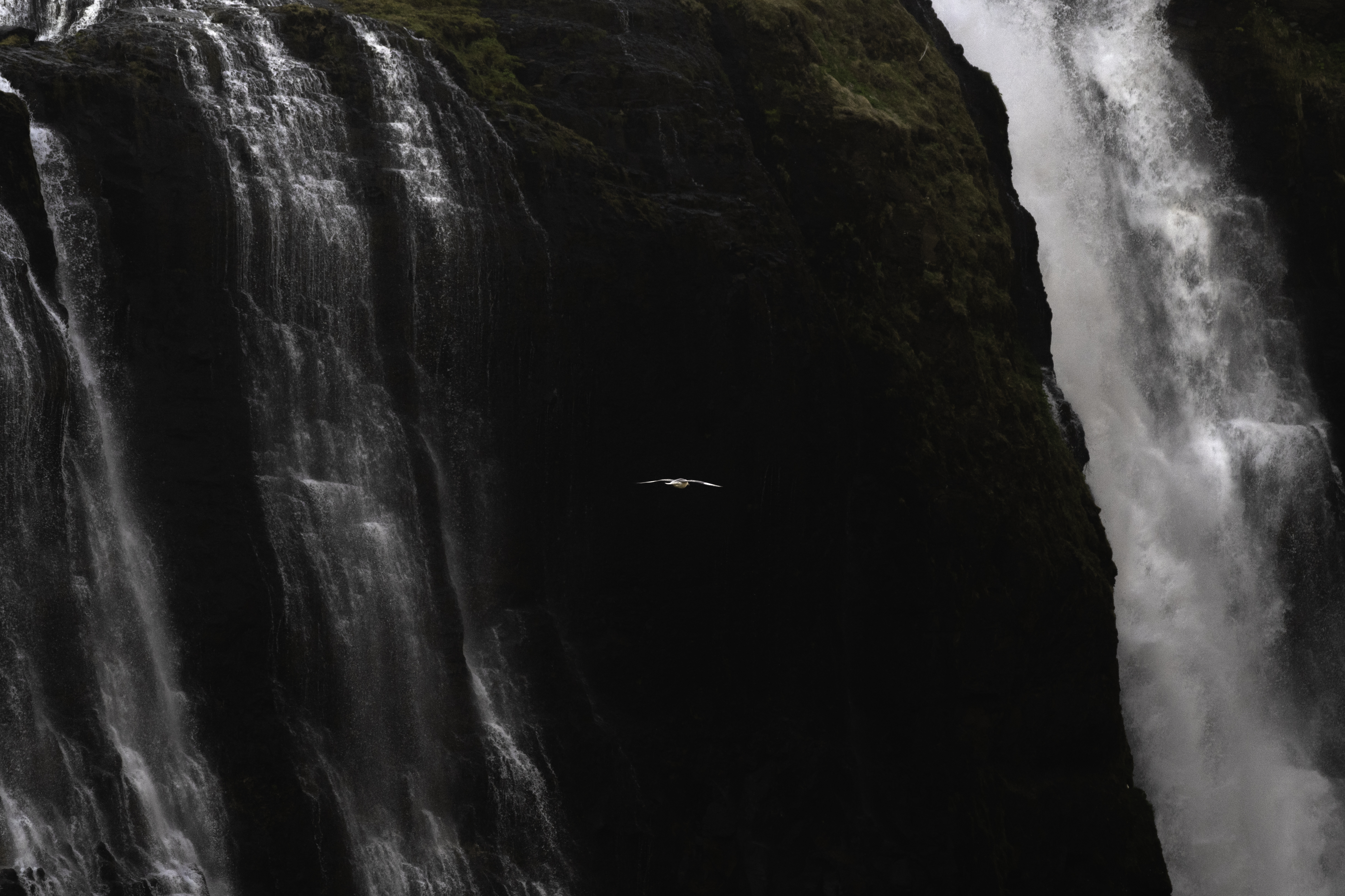 Private Hiking Tour to Glymur Waterfall: Minivan Transfer - photo 5