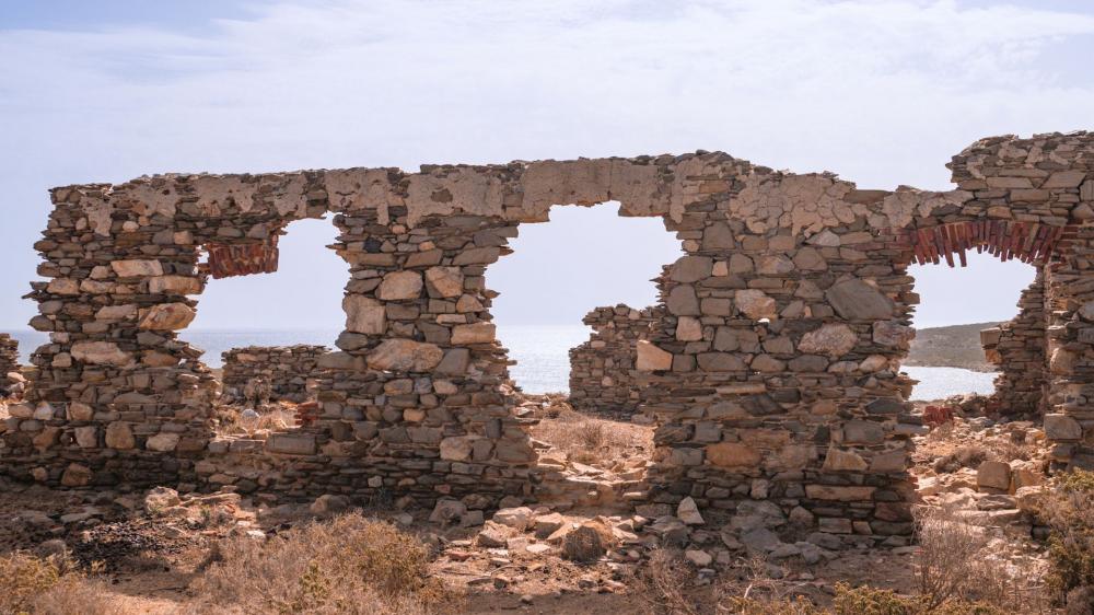 ASINARA ISLAND TOUR - Full Day (Off Road Tour in the National Park) - Photo 25