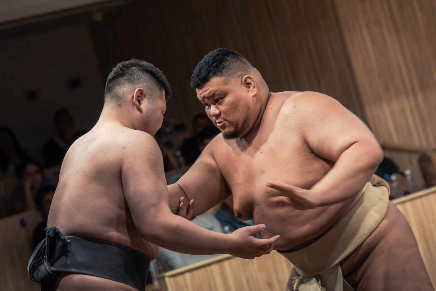 Shinjuku Sumo Show with Drink and Photo