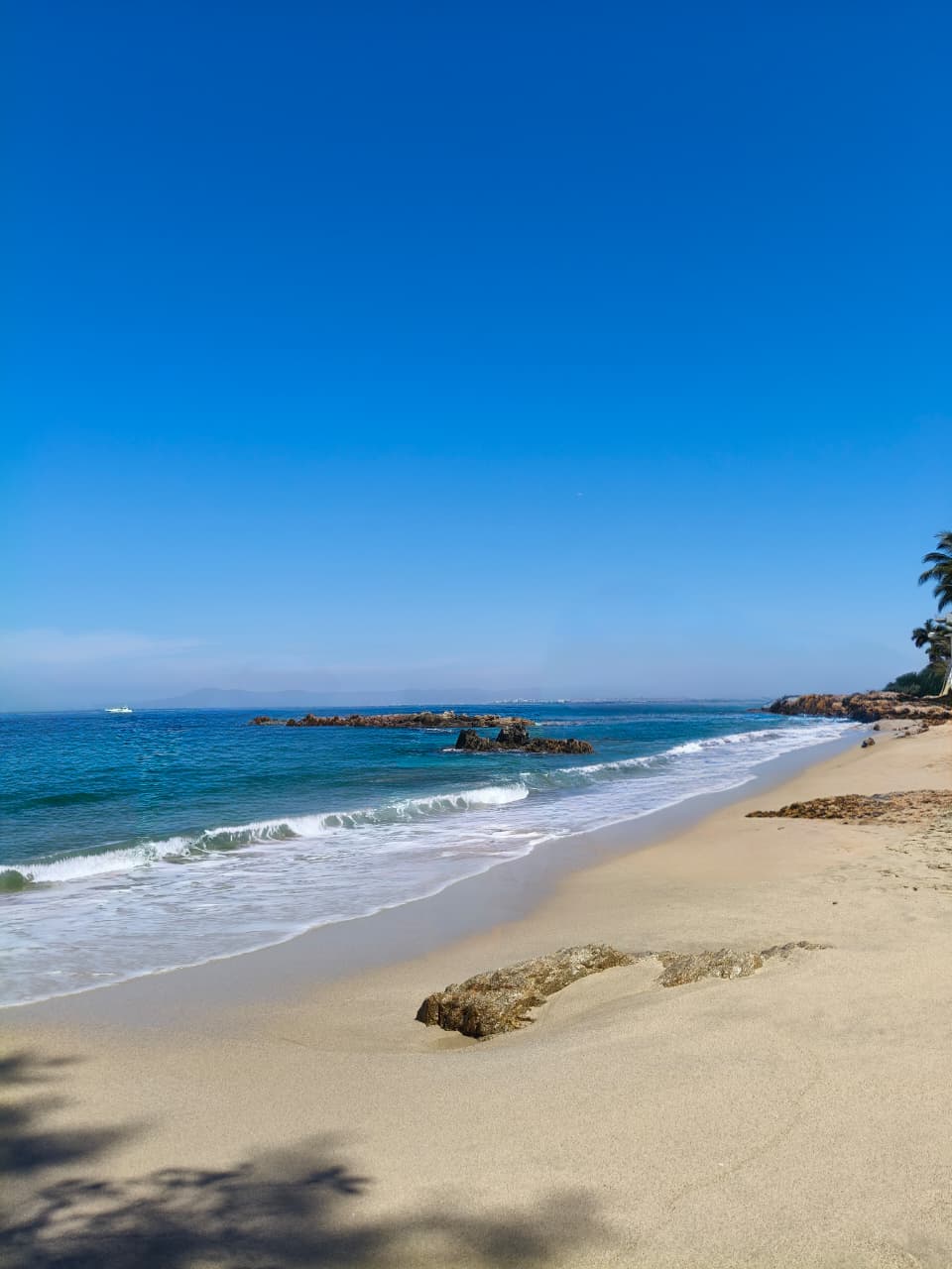 Desde Puerto Vallarta Tour Playa, Tequila y Rio — 8/18