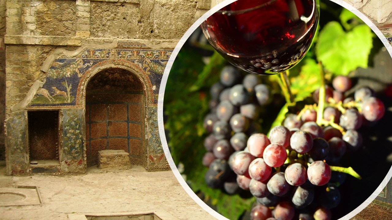 Pompeii & Wine Tasting Tour from Naples - Group Tour POMPEII & WINE TASTING tour from Naples – Group Tour