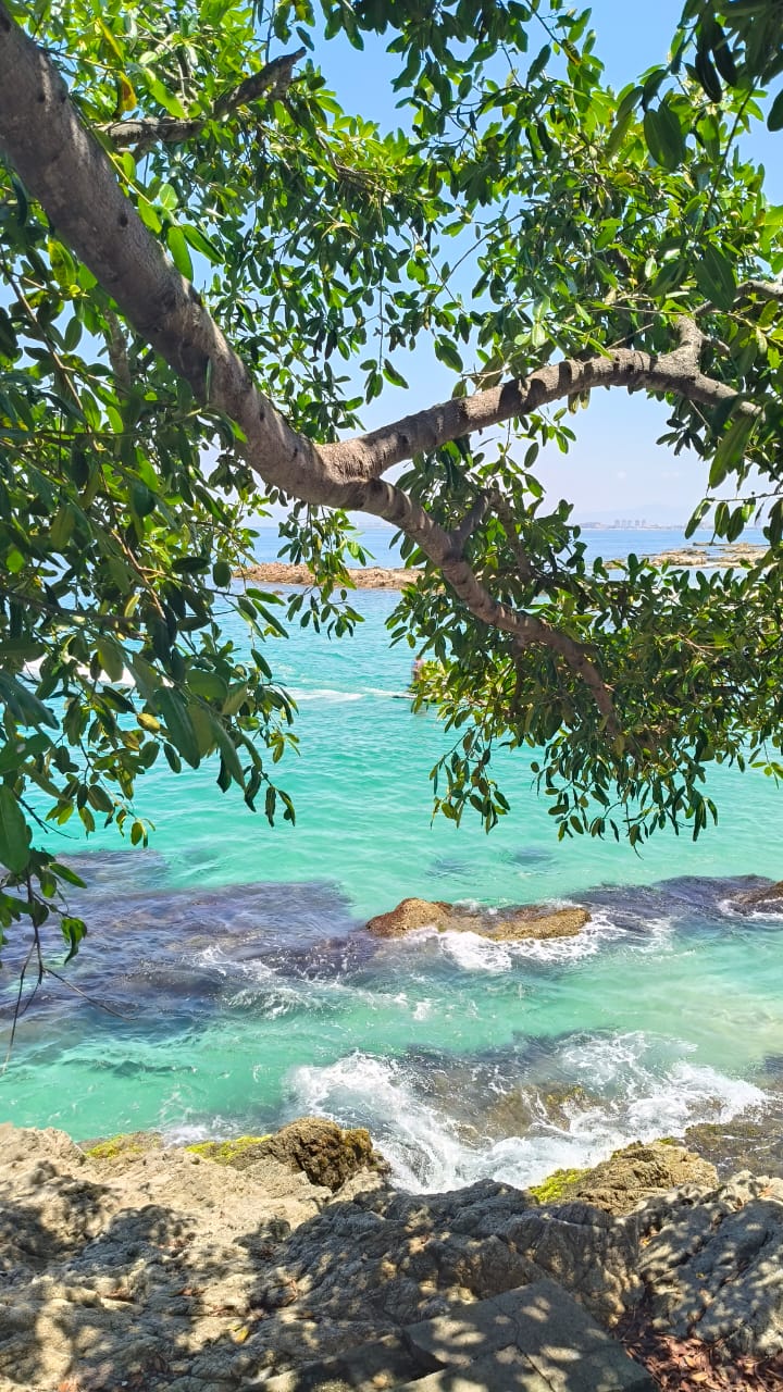 Desde Puerto Vallarta Tour Playa, Tequila y Rio — 6/18