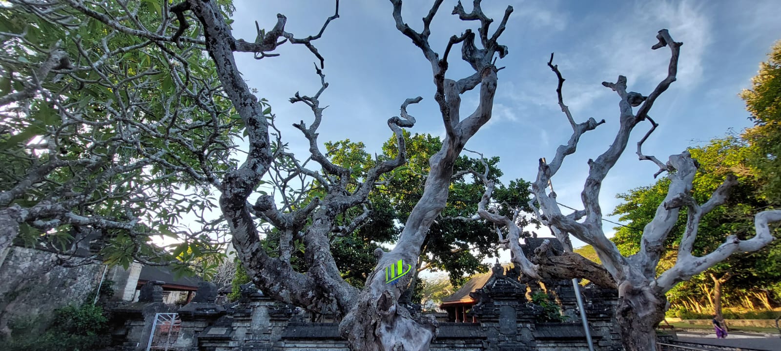 Sunset Uluwatu Private Tour and Kecak Fire Dance Performance – photo 3