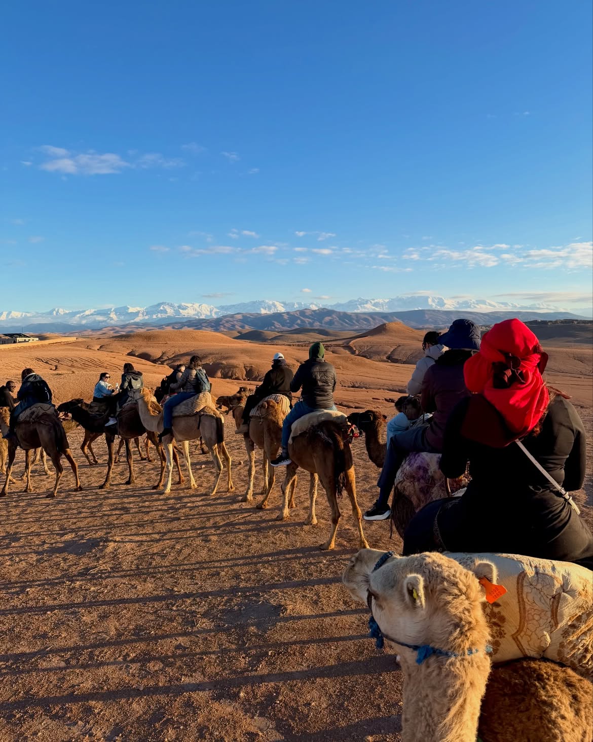 Cena al atardecer en el desierto de Agafay y paseo en camello desde Marrakech