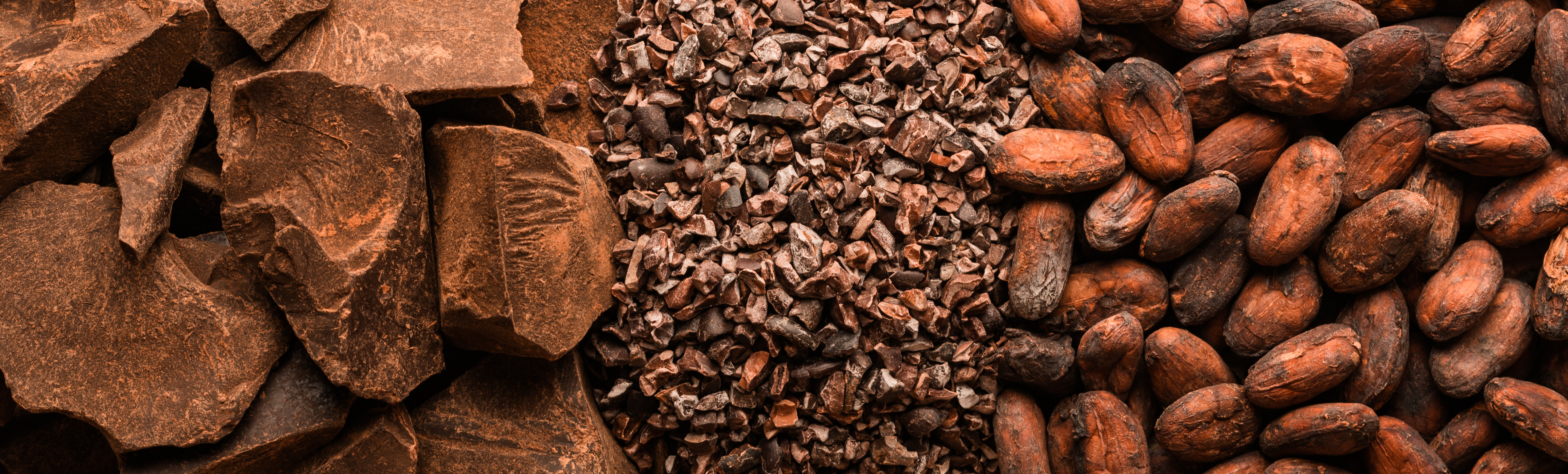 Desde Mérida: Uxmal, Cenote Sambula y Museo del Chocolate ChocoStory — 13/16