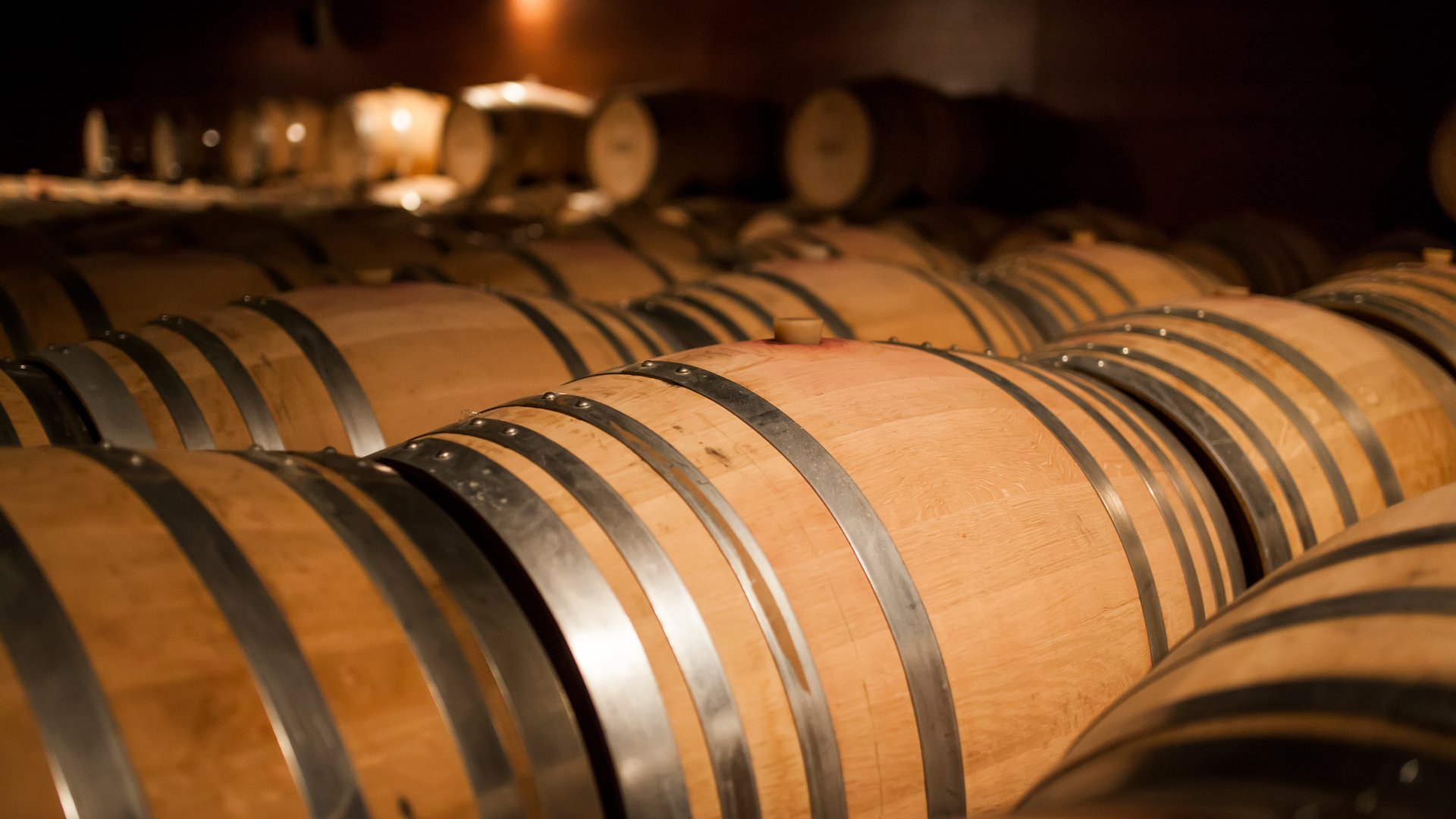 From Cagliari: visit to a winery with tasting - Photo 4