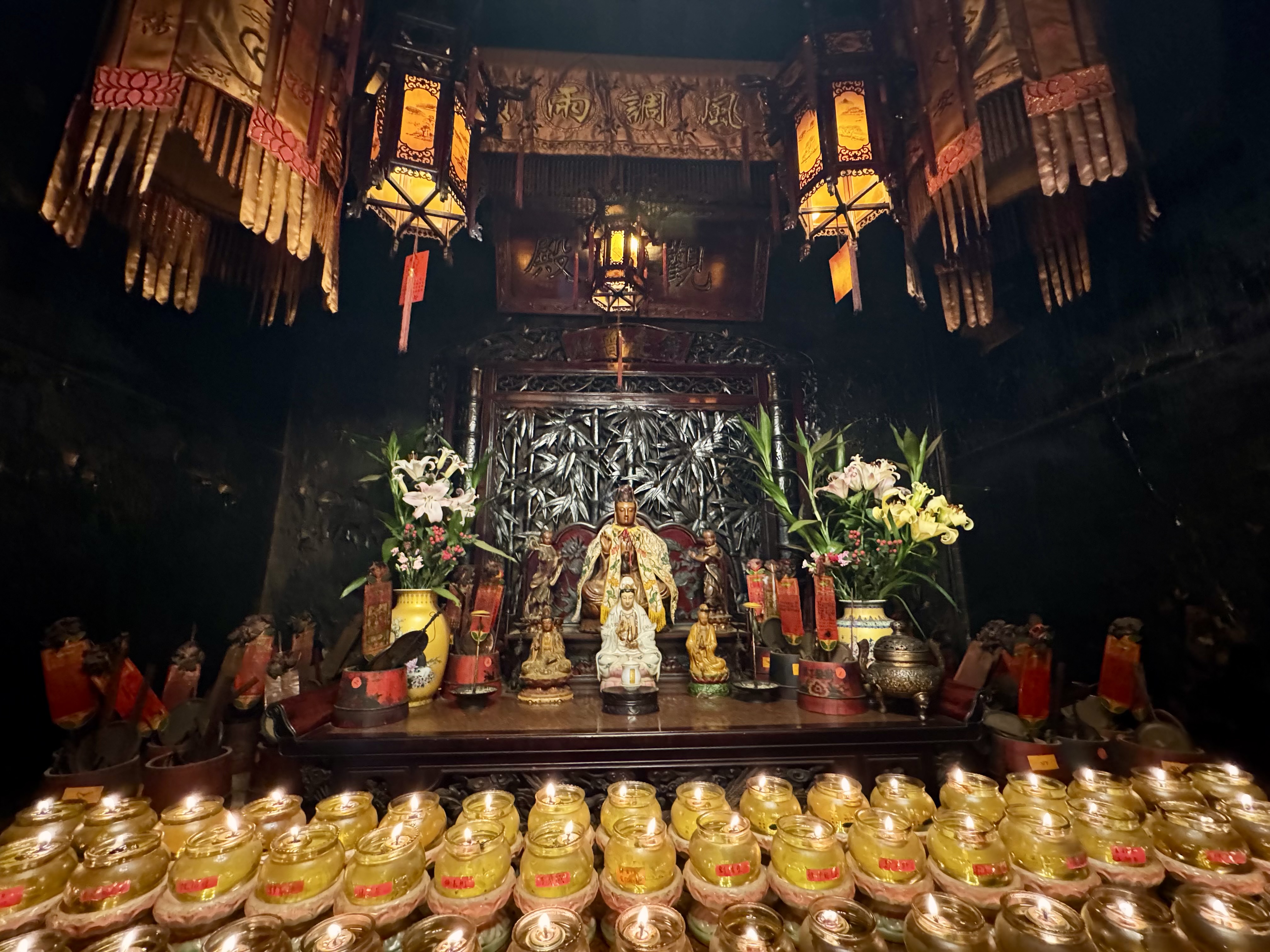 Guided Tour of the New Territories with Tsz Shan Monastery in Private Service - Accommodations in Hong Kong
