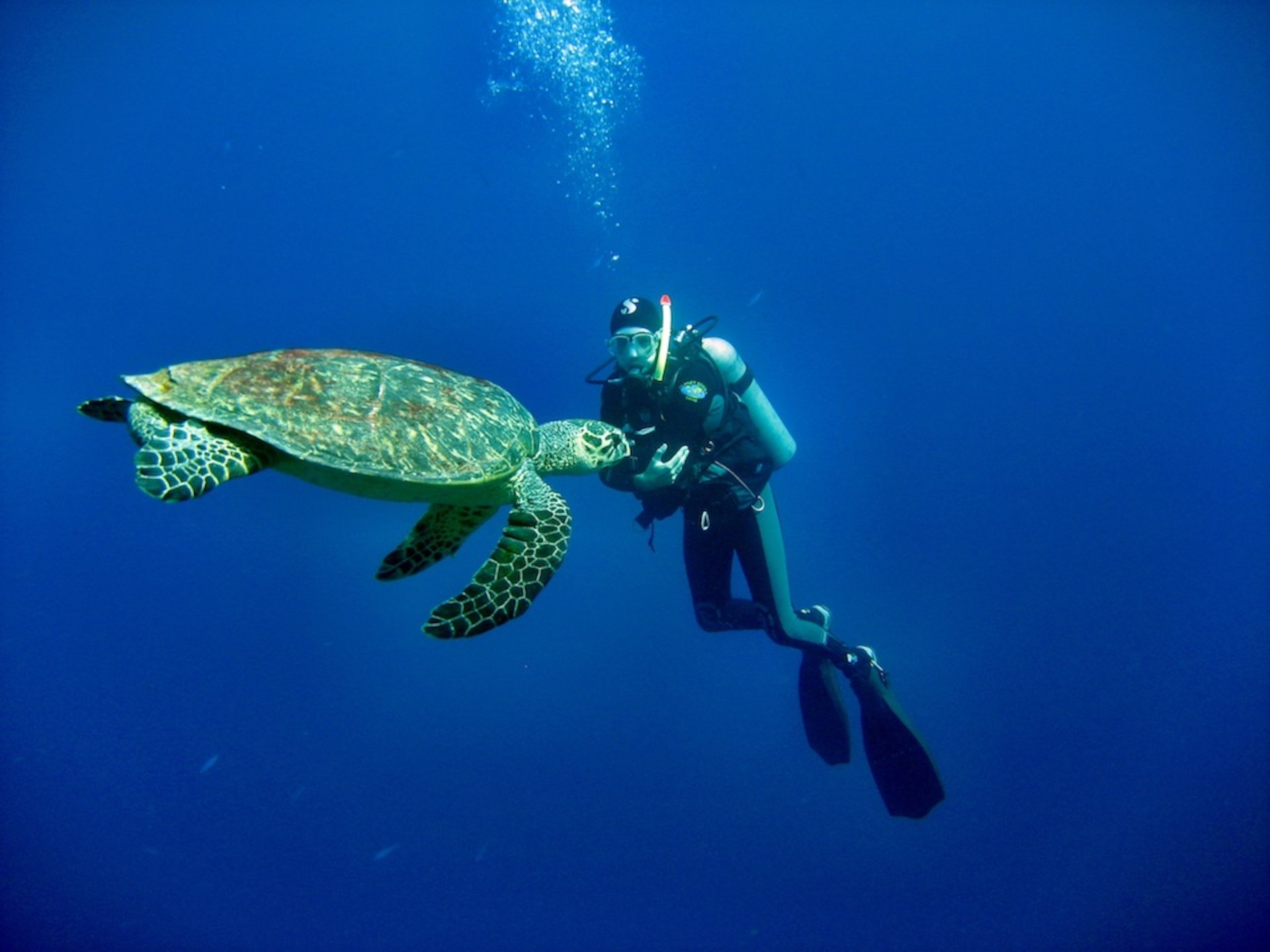 Bosa: diving baptism - Photo 15
