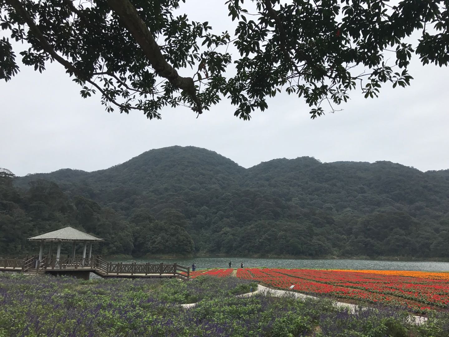 Excursión de un día al Parque Nacional Shimen y a las aguas termales de Biquan Air desde Guangzhou - Foto 2