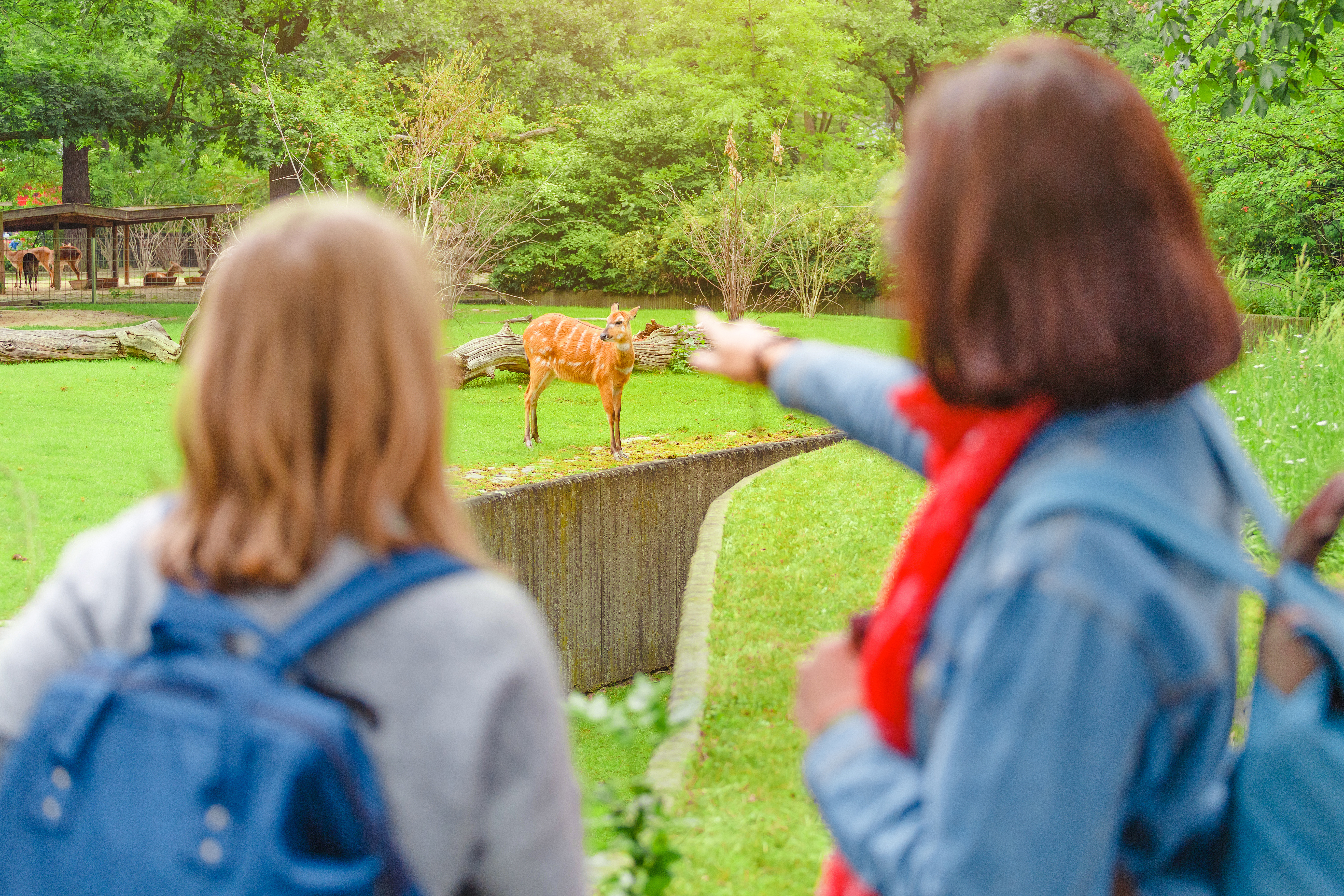 Boat to the ZOO with English Guide
