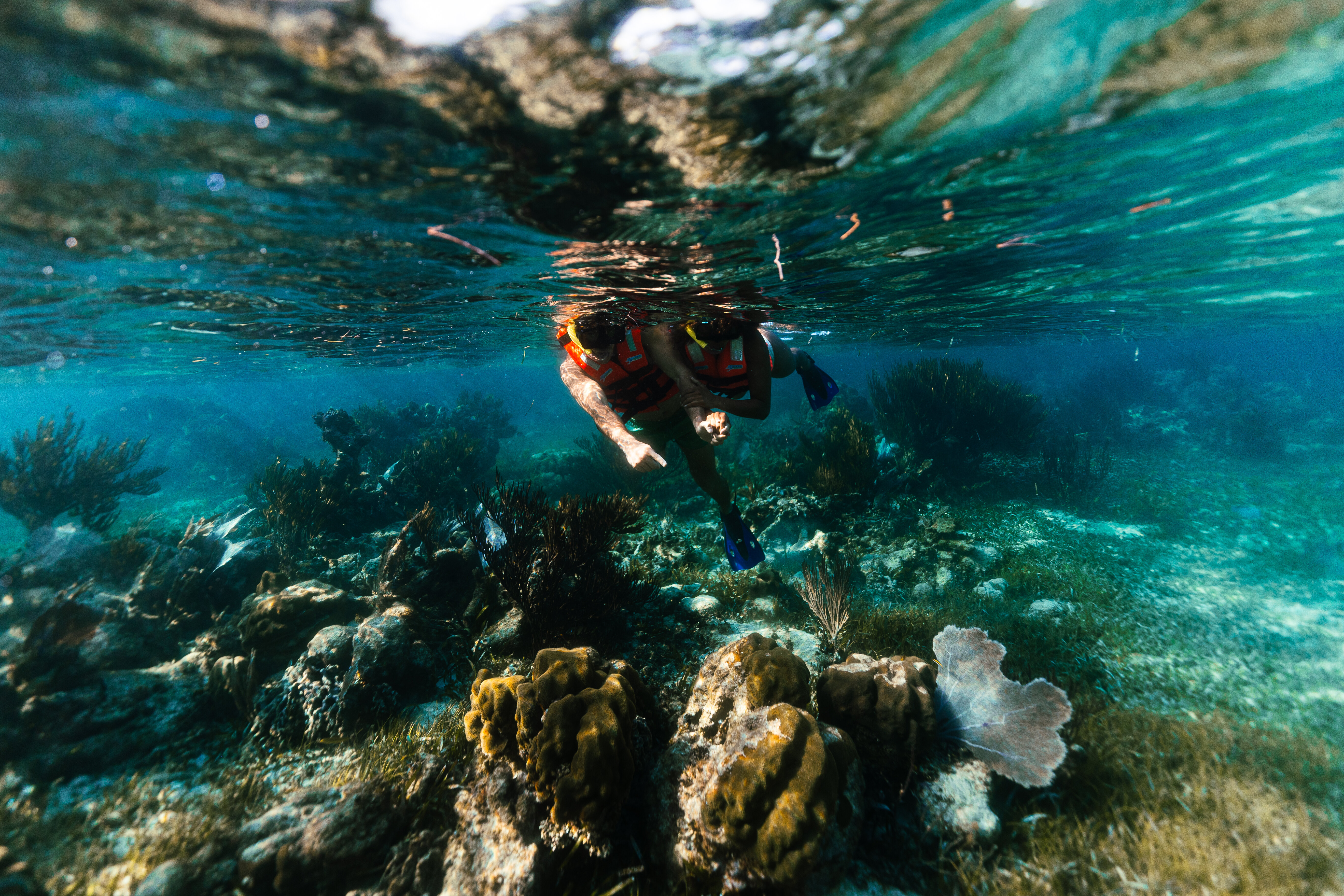 Esnórquel en Arrecifes del Parque Nacional desde Cancún con Almuerzo frente a la Playa — 16/21