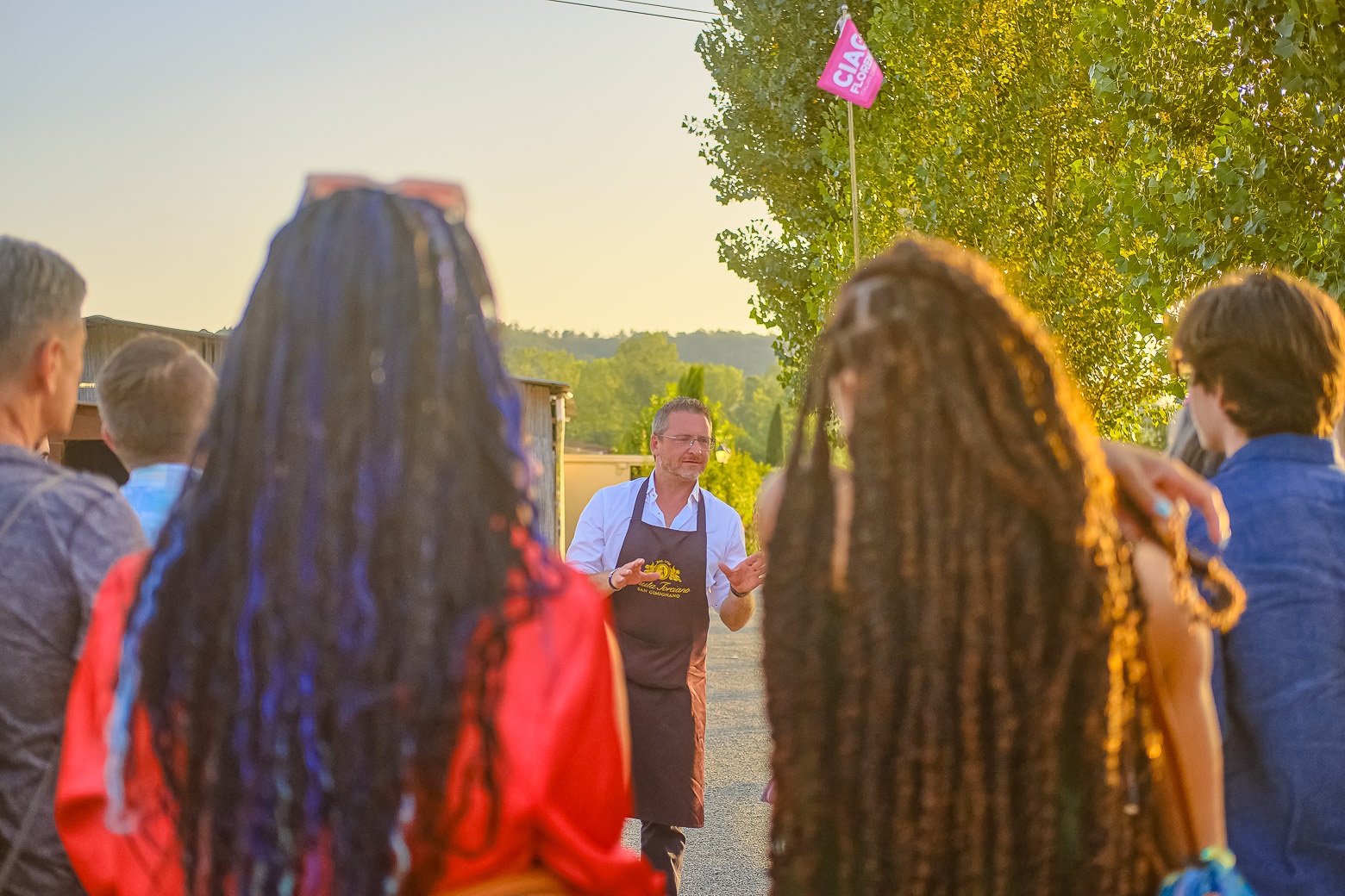 Small-Group Winery Tour with Tasting and Dinner in Chianti - Photo 74