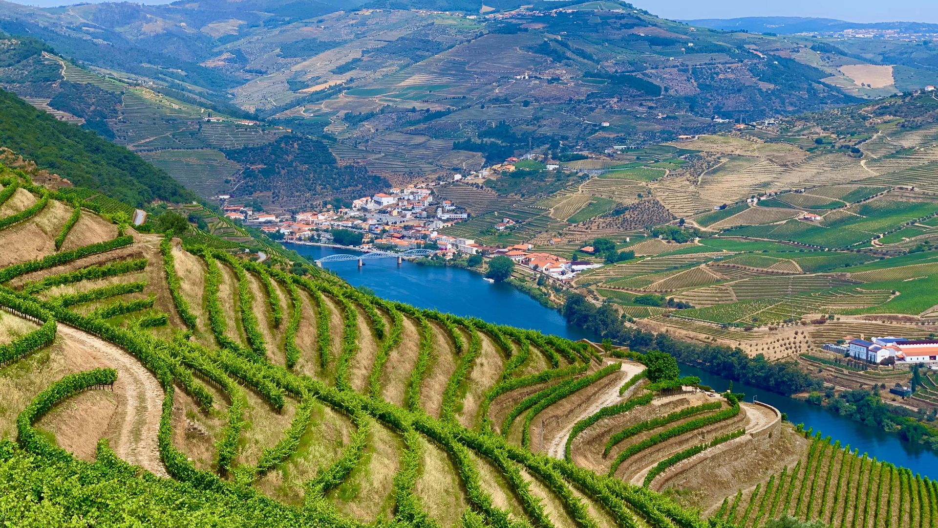 Douro Valley Small Group Tour with Wine Tastings, Lunch and River Cruise  - Photo 16