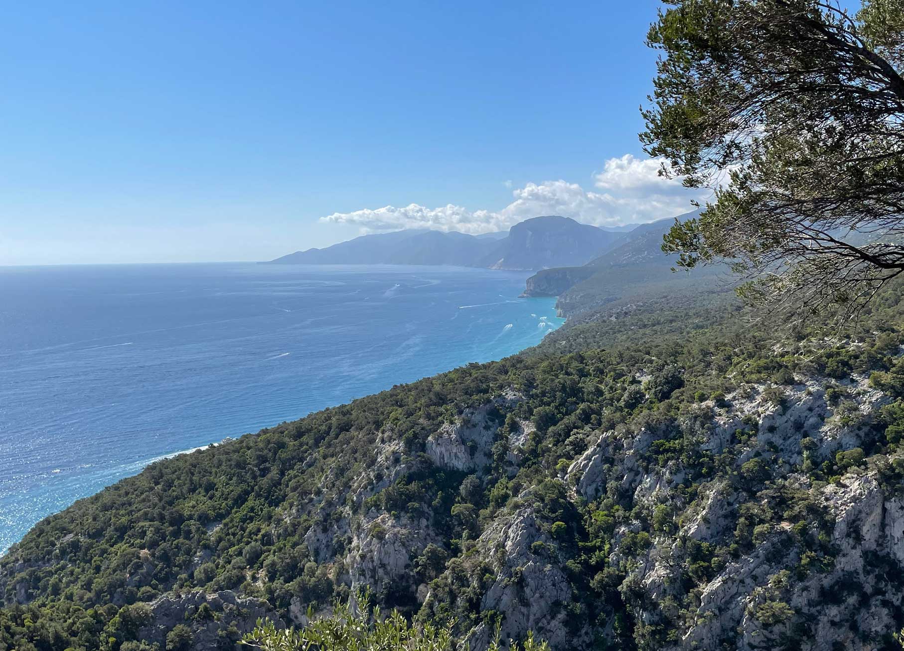 From Cala Gonone: gastronomy and crafts jeep tour in Dorgali - Photo 6
