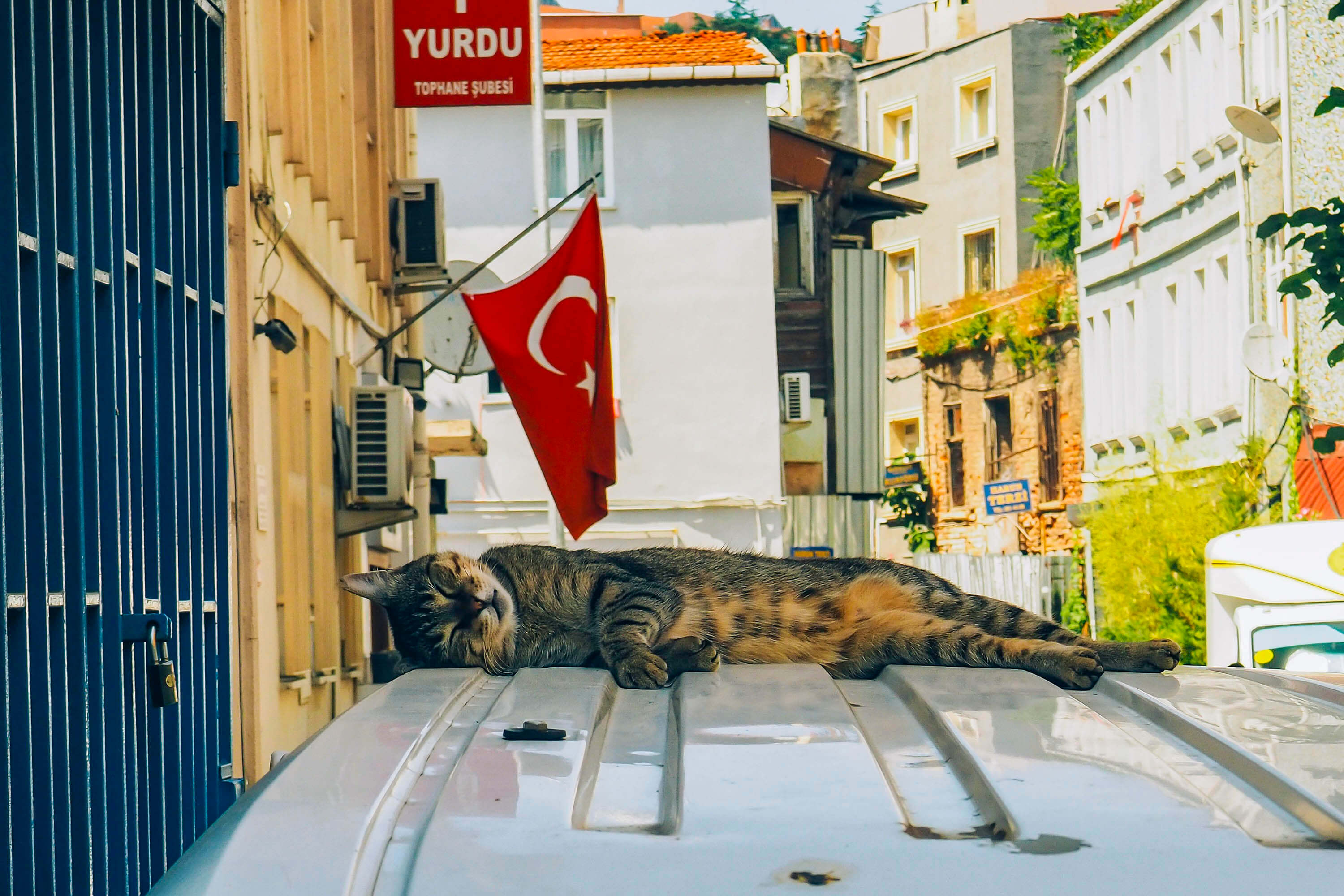 Istanbul: City Tour with Audio Guide in your smartphone