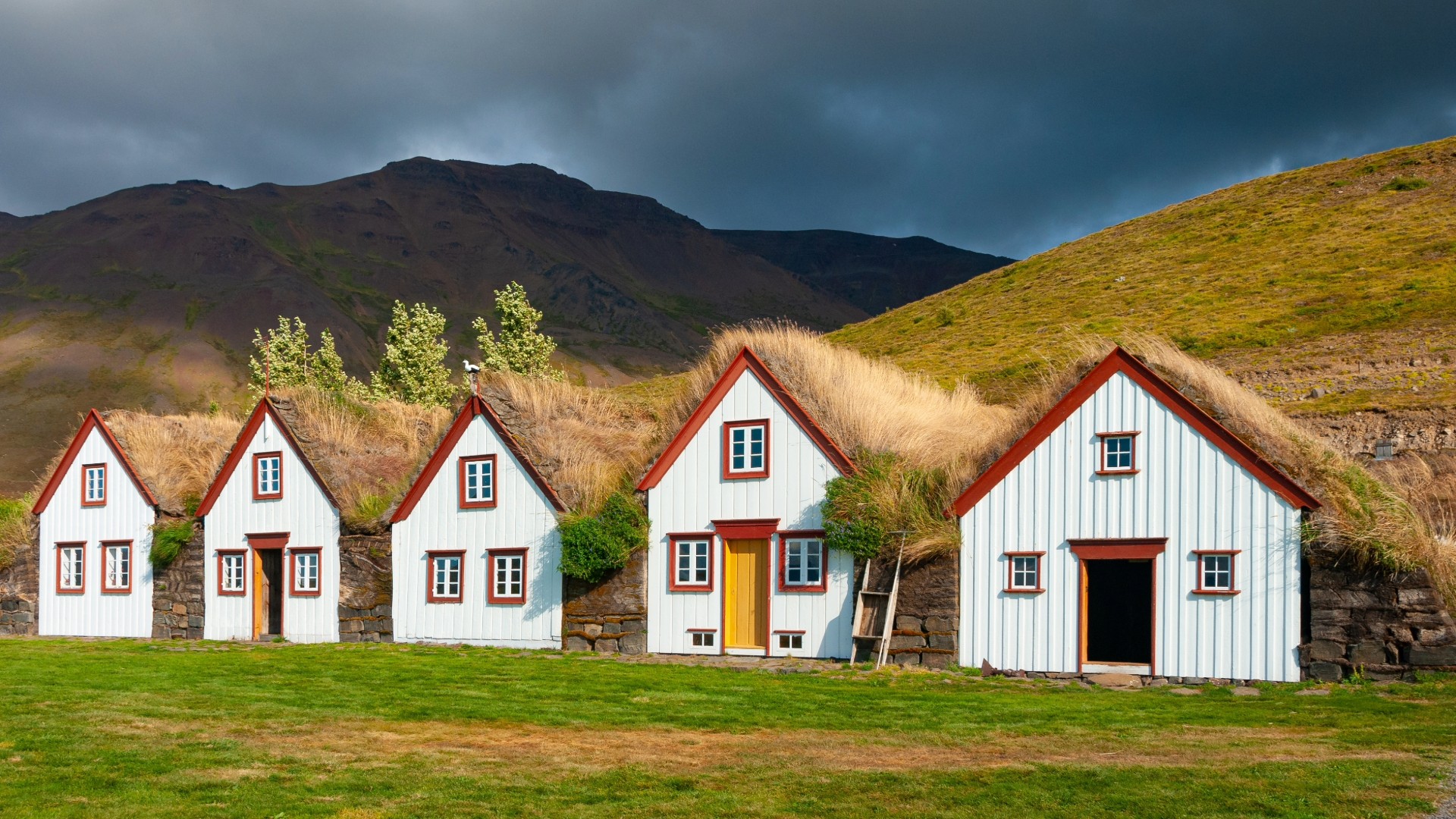 Tour privado a las cataratas del norte de Islandia y al patrimonio de Laufás - Foto 2