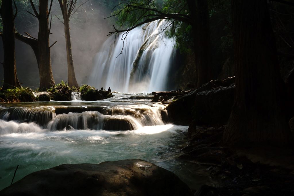Tour por Palenque: Explore Ruinas, Sitios Arqueológicos y Naturaleza (10 Días) — 8/10