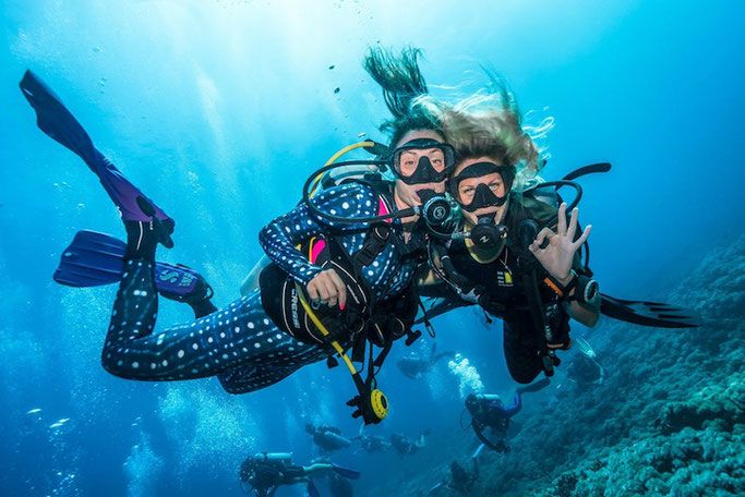 Diving trip at Shaab Samadai from El Quseir