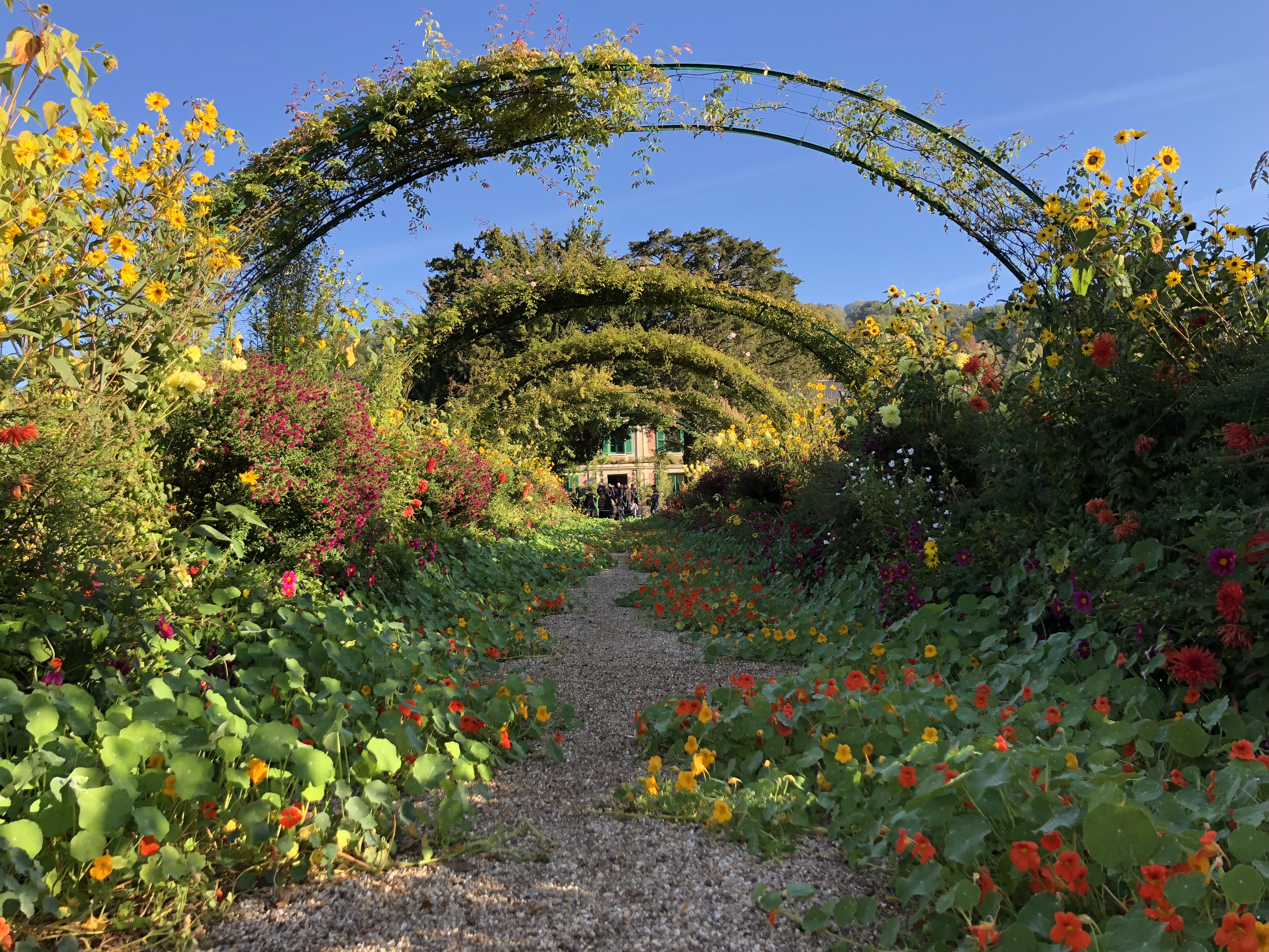MONET'S HOUSE AT GIVERNY Half Day Trip- plus DRIVER-GUIDE -> 5 hours - Photo 3