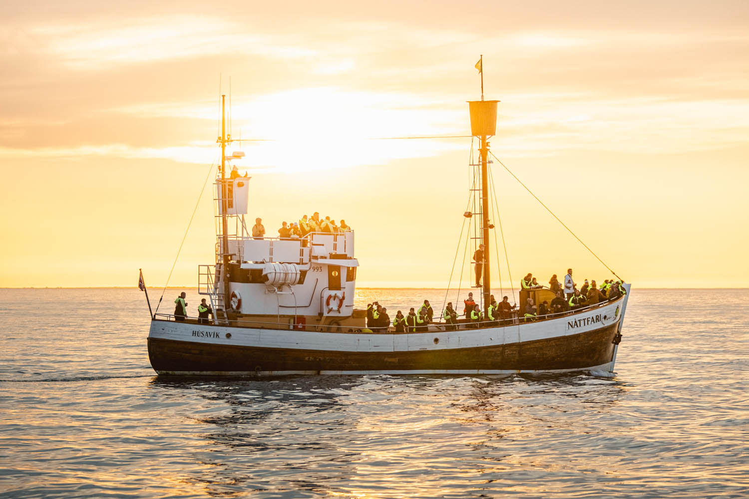 Midnight Sun Whale Watching from Húsavík - photo 2