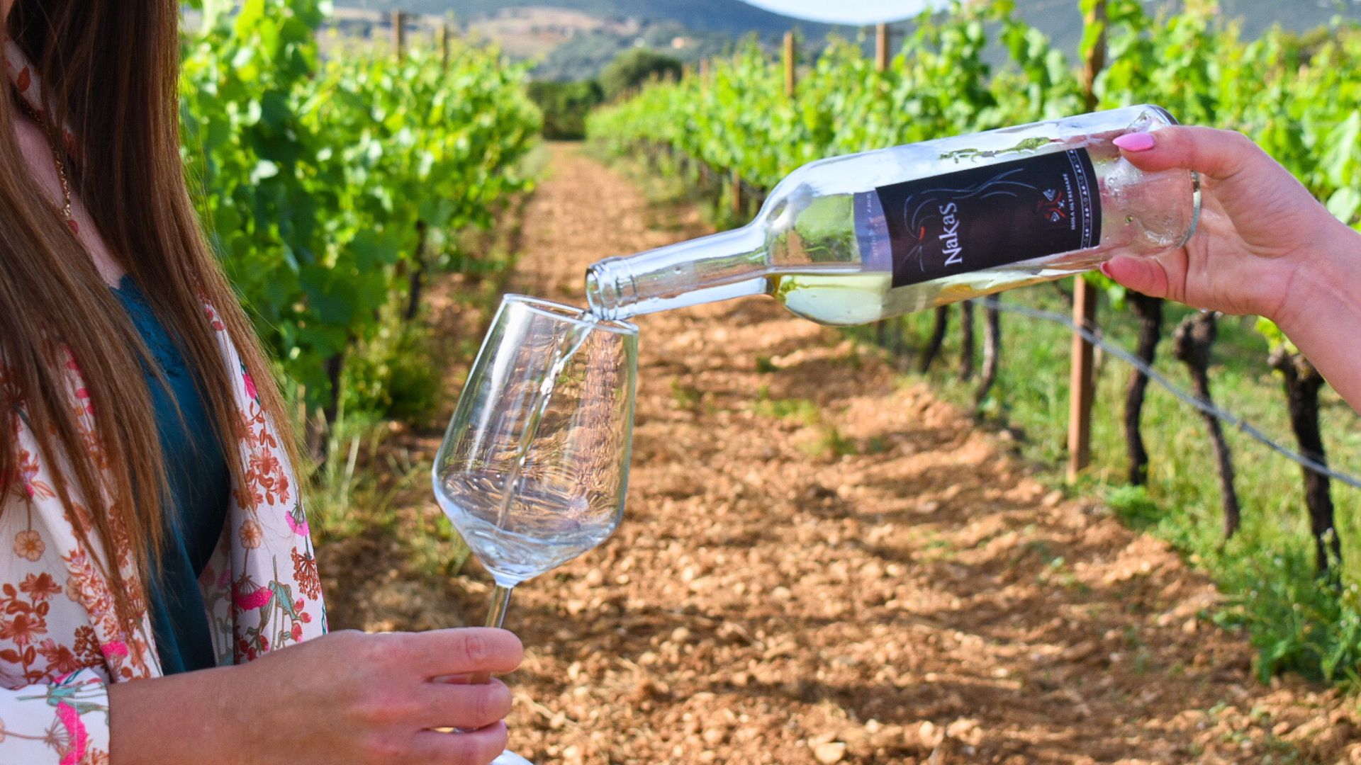 Alghero: aperitif in a vineyard - Photo 2