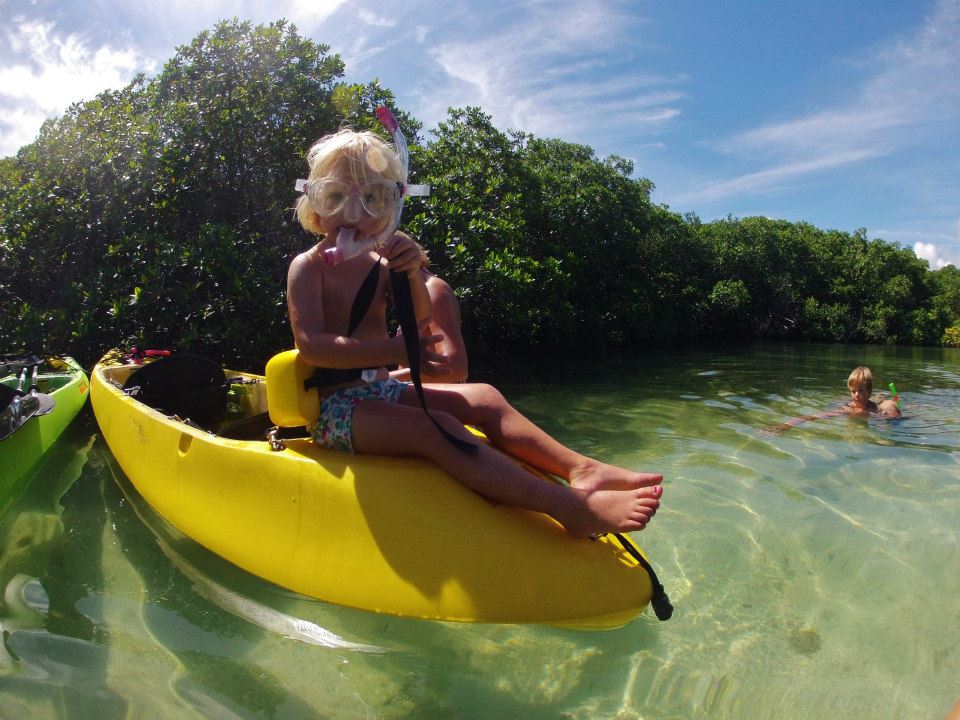 Mangrove Kayak & Snorkeling Tour