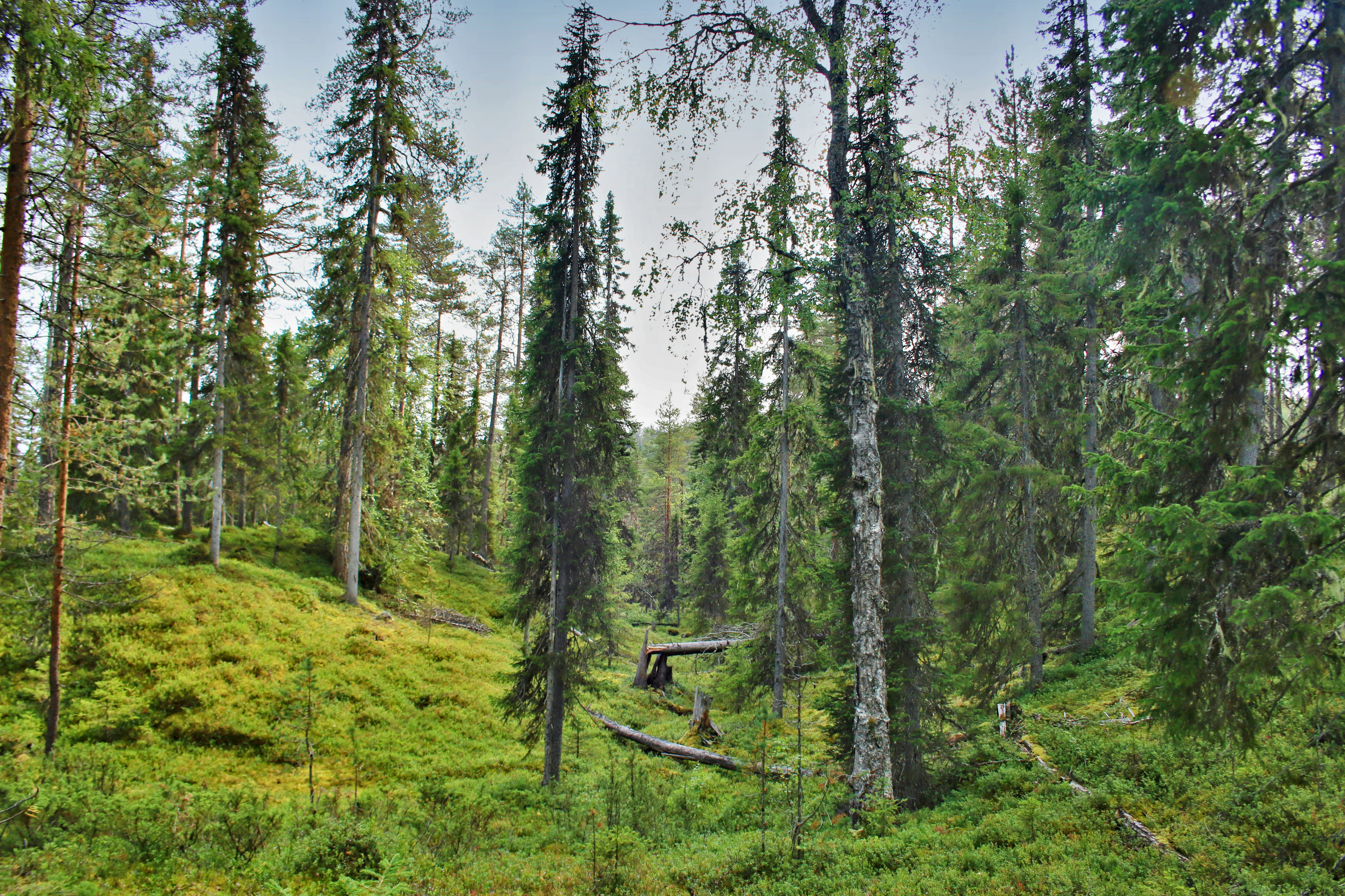 Korouoma Canyon Wilderness Hike – Image 4 | WeShare