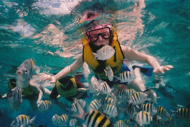 Full-Day Diving Trip in Hurghada - 3