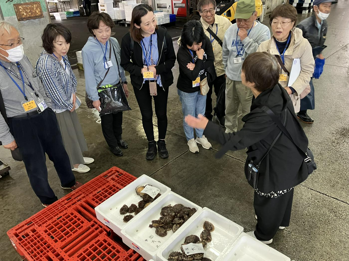 JTB�@���̉߂������i�k�C���j�̃C���[�W