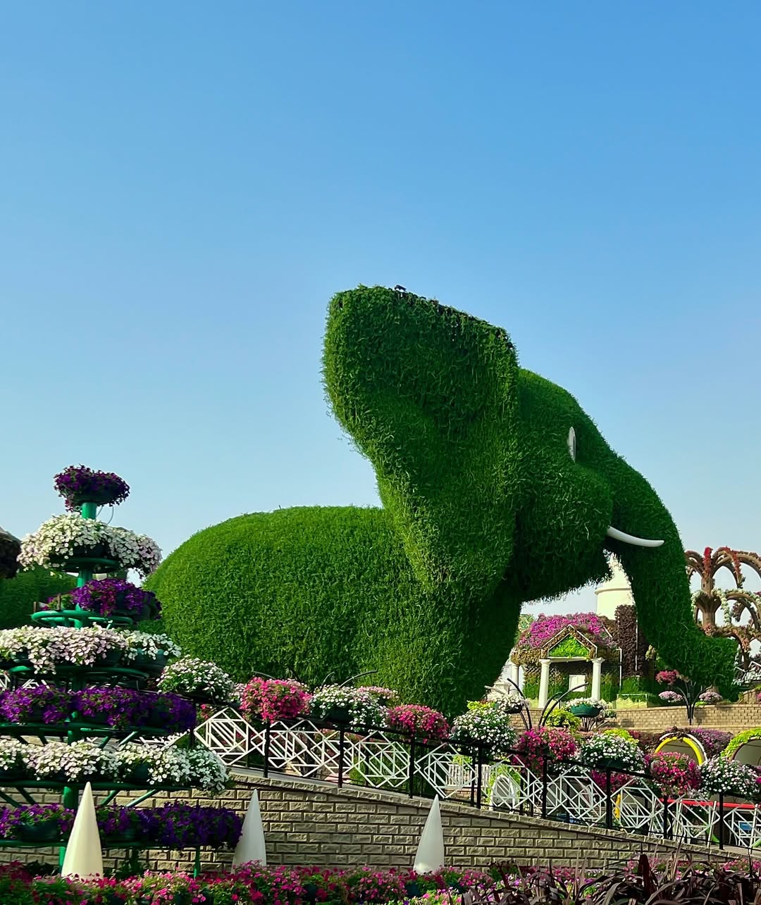 Miracle Garden and Butterfly Garden – Image 1 | WeShare