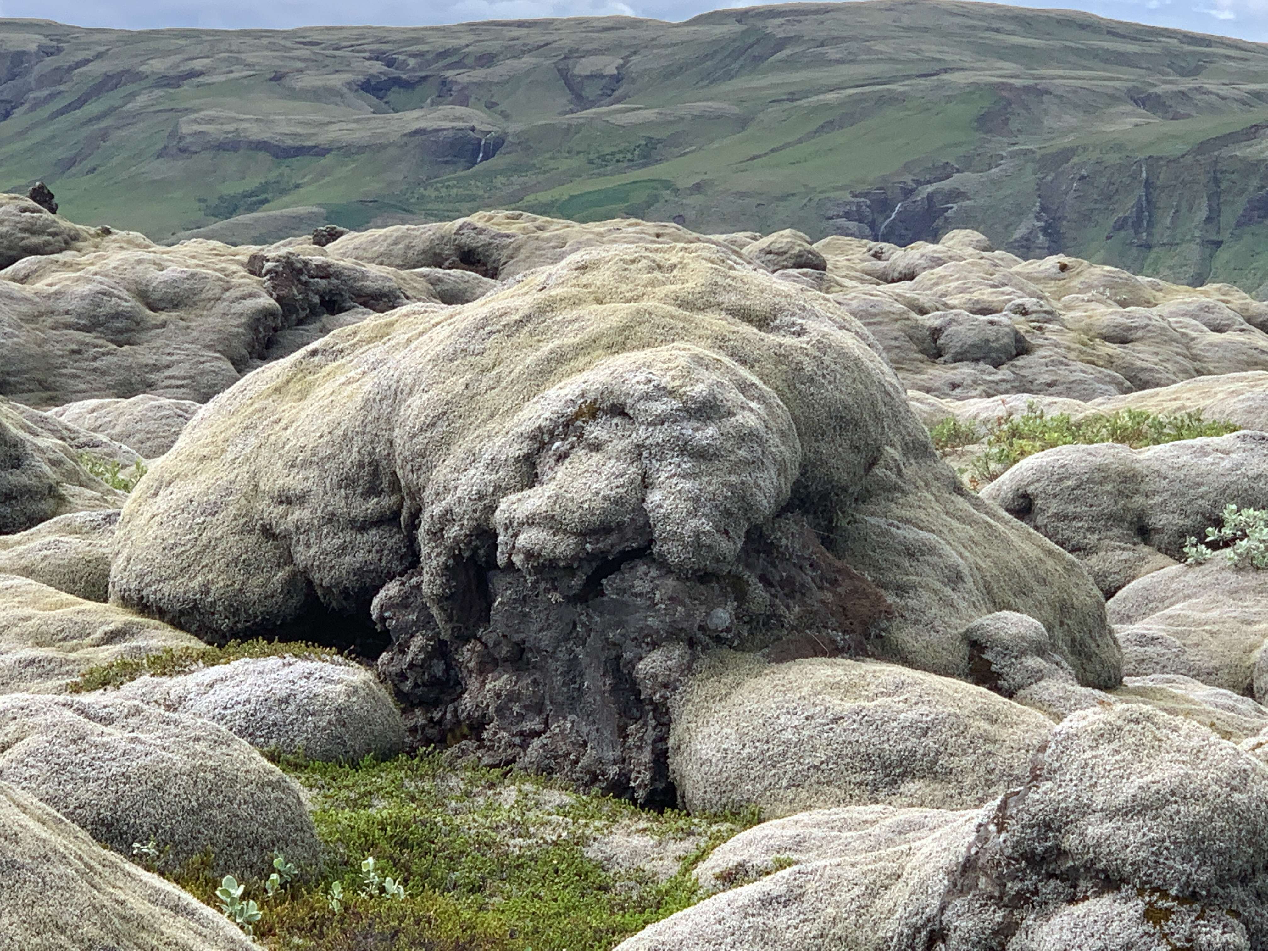 Private Super Jeep with driver guide, fits 10 passengers - photo 25