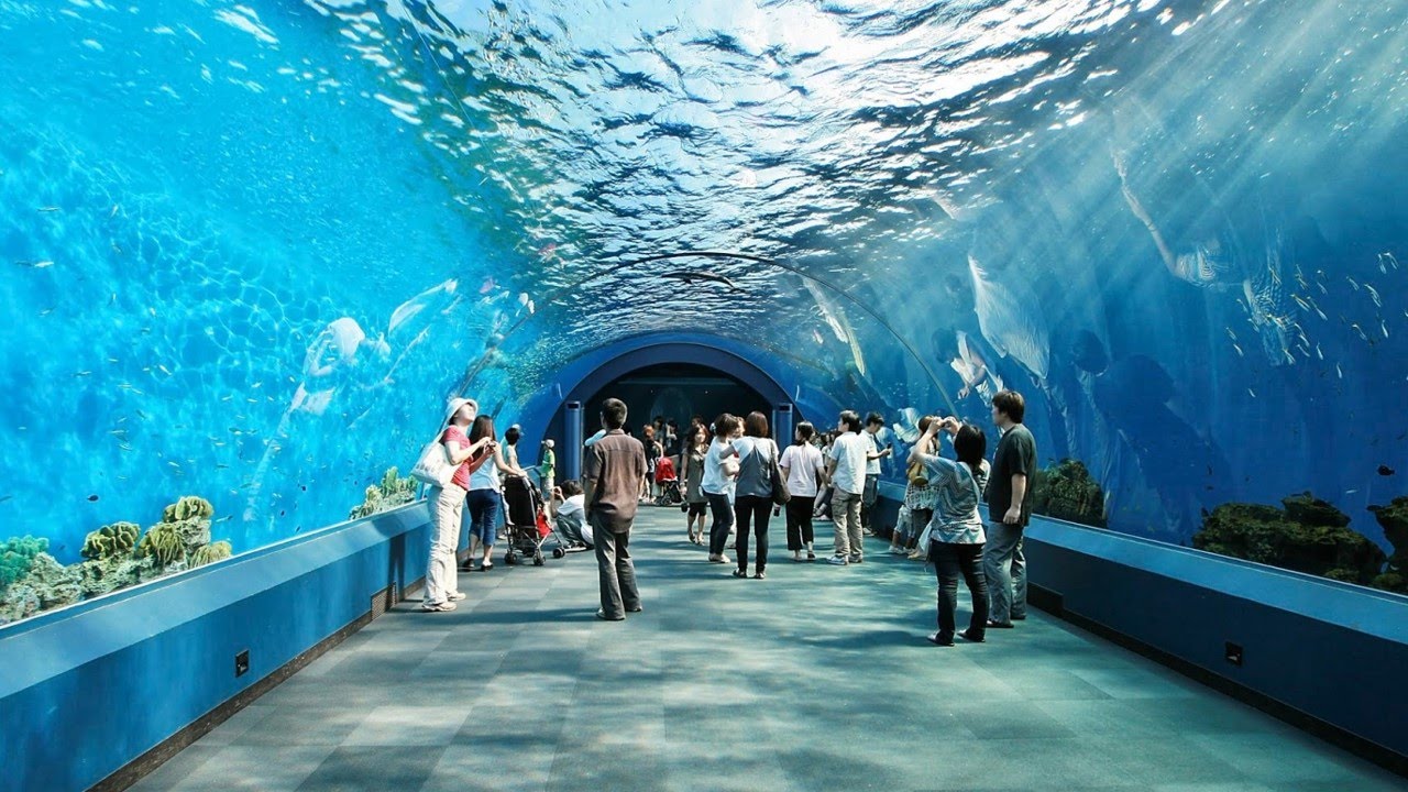 Entrada al mundo submarino de Pattaya - Foto 3