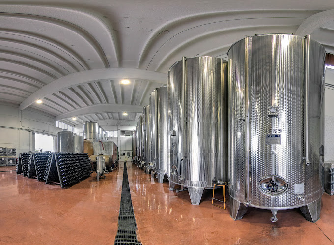 Tour and tasting of 5 Garda wines and olive oil in Valeggio - Photo 3