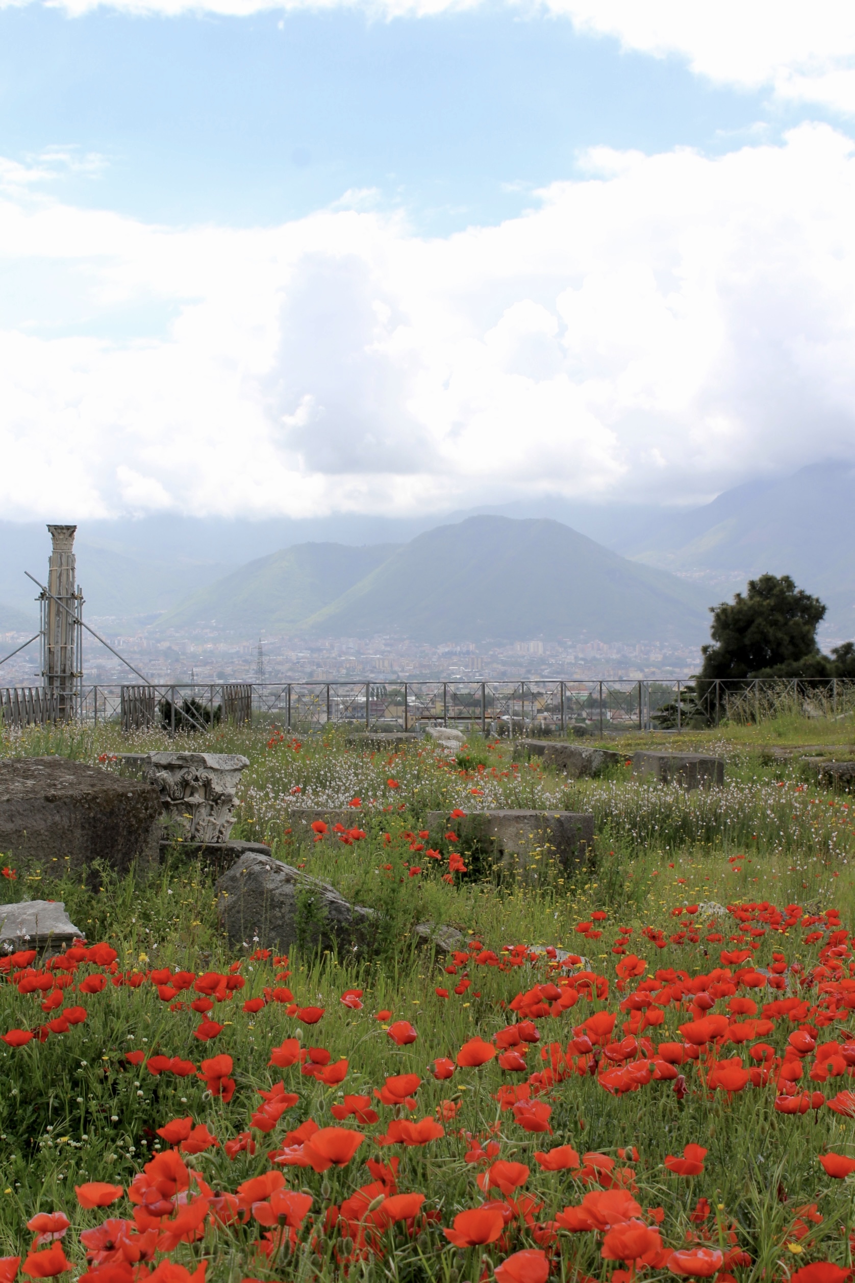 From Naples: Pompeii and Vesuvius Tour - Photo 14