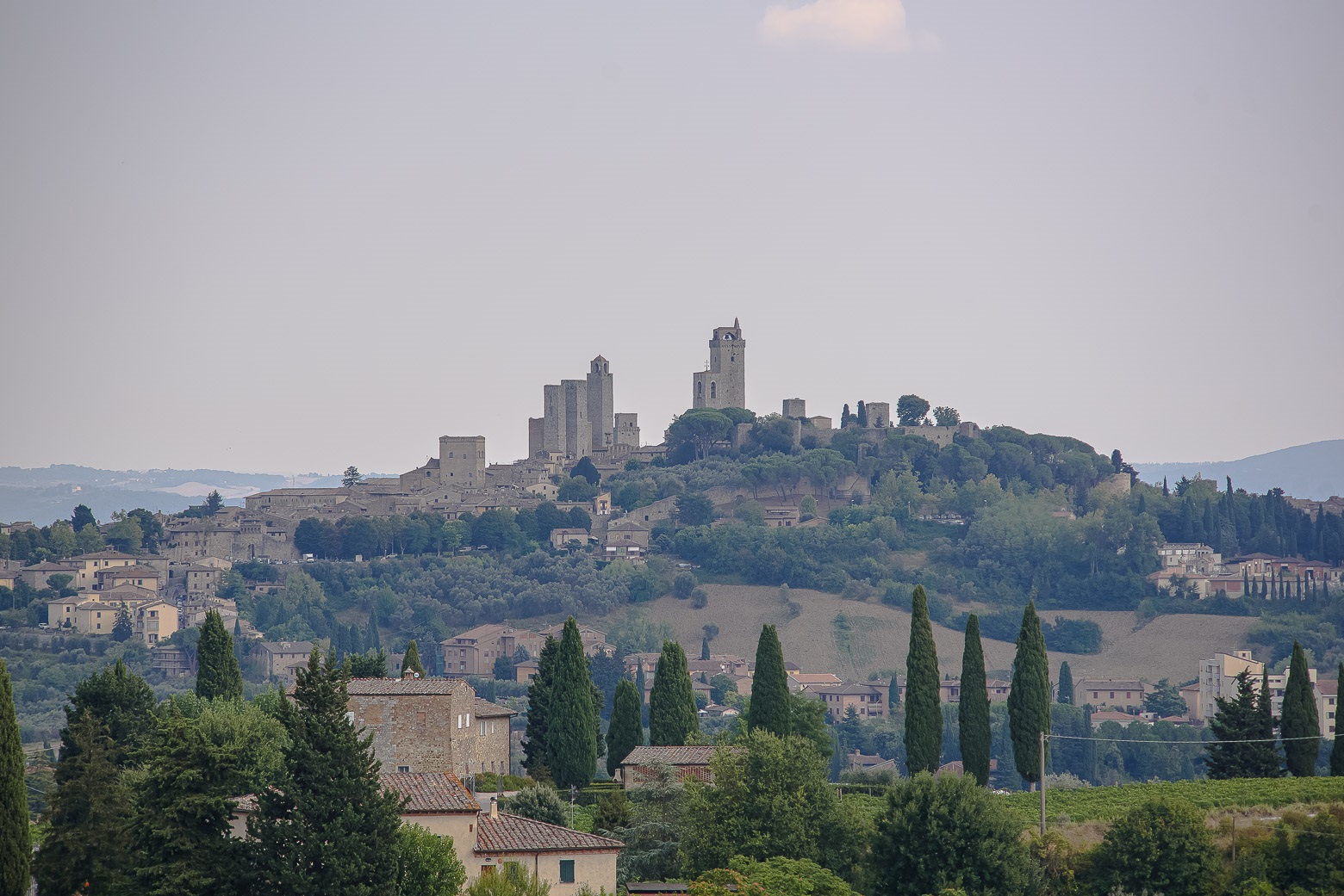 Small-Group Winery Tour with Tasting and Dinner in Chianti - Photo 131