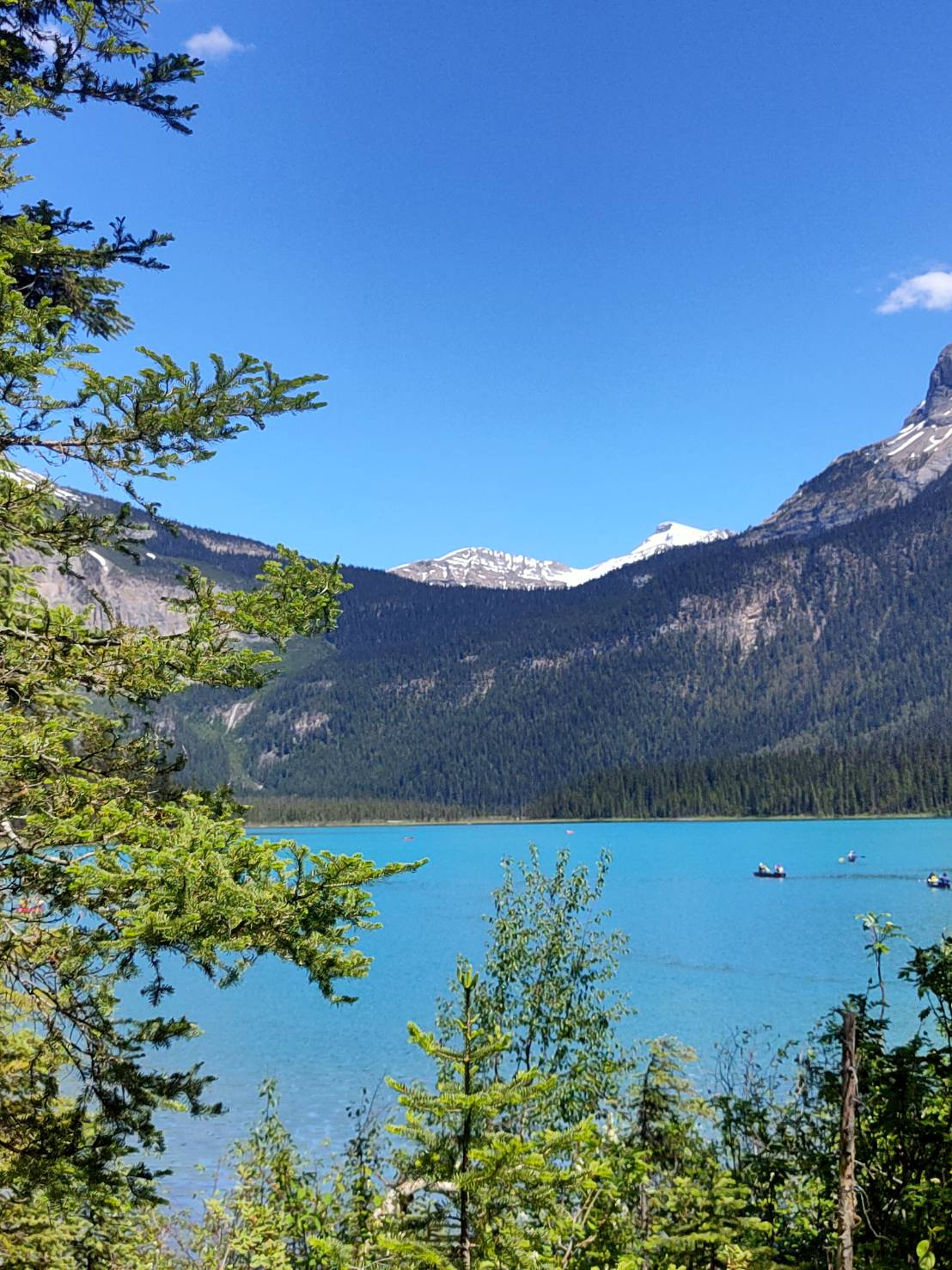 Moraine Lake Louise Emerald Johnston Canyon desde Canmore Banff